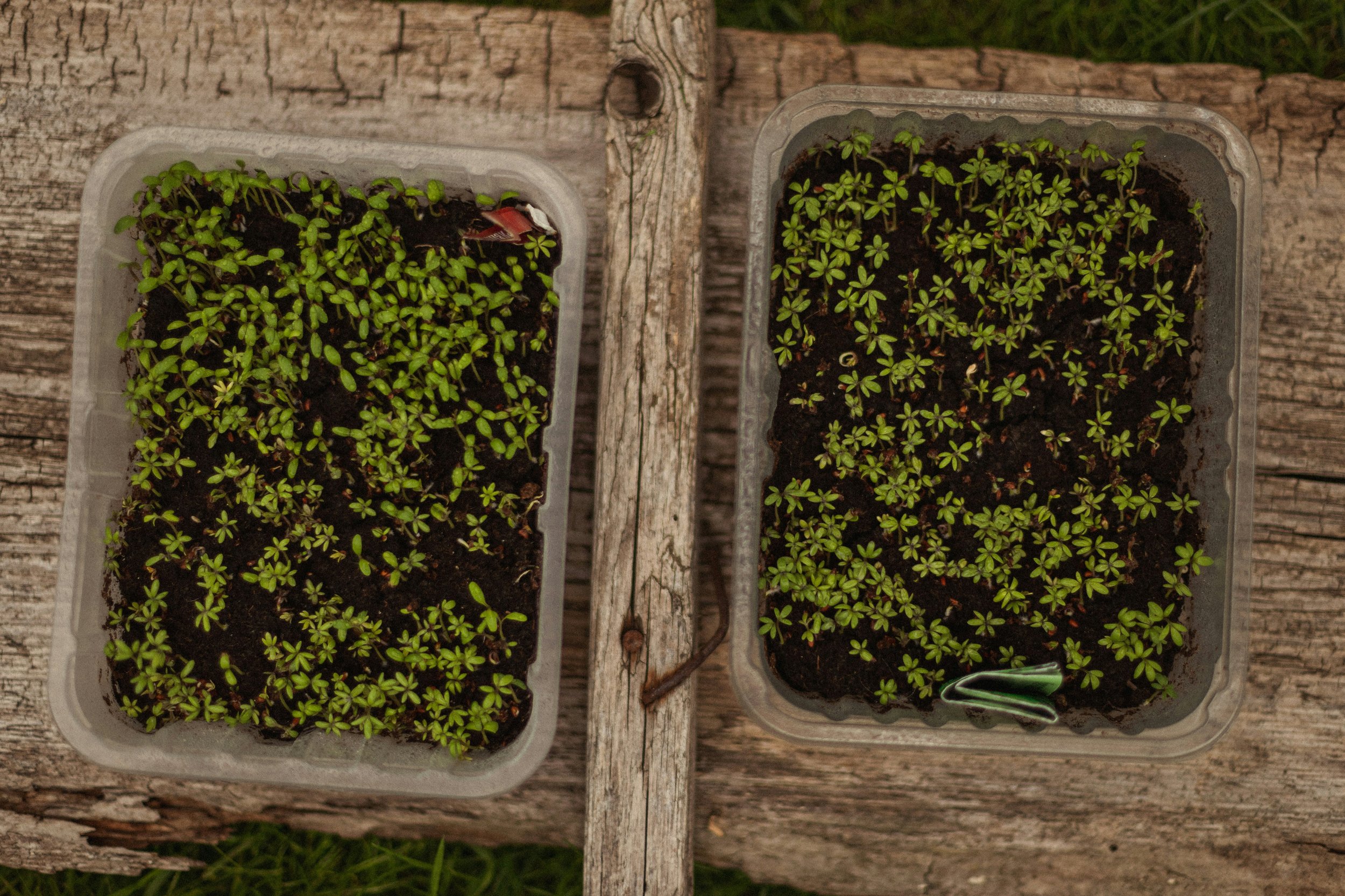 Foundations for Human-Centered Change