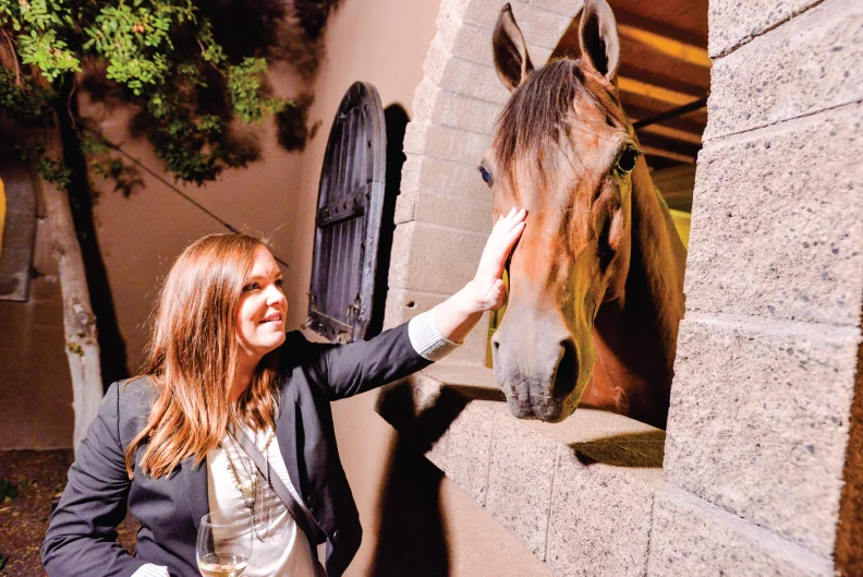Horses Love a Great Party, Too!