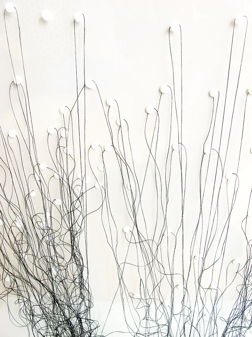 Close Up 01.jpg