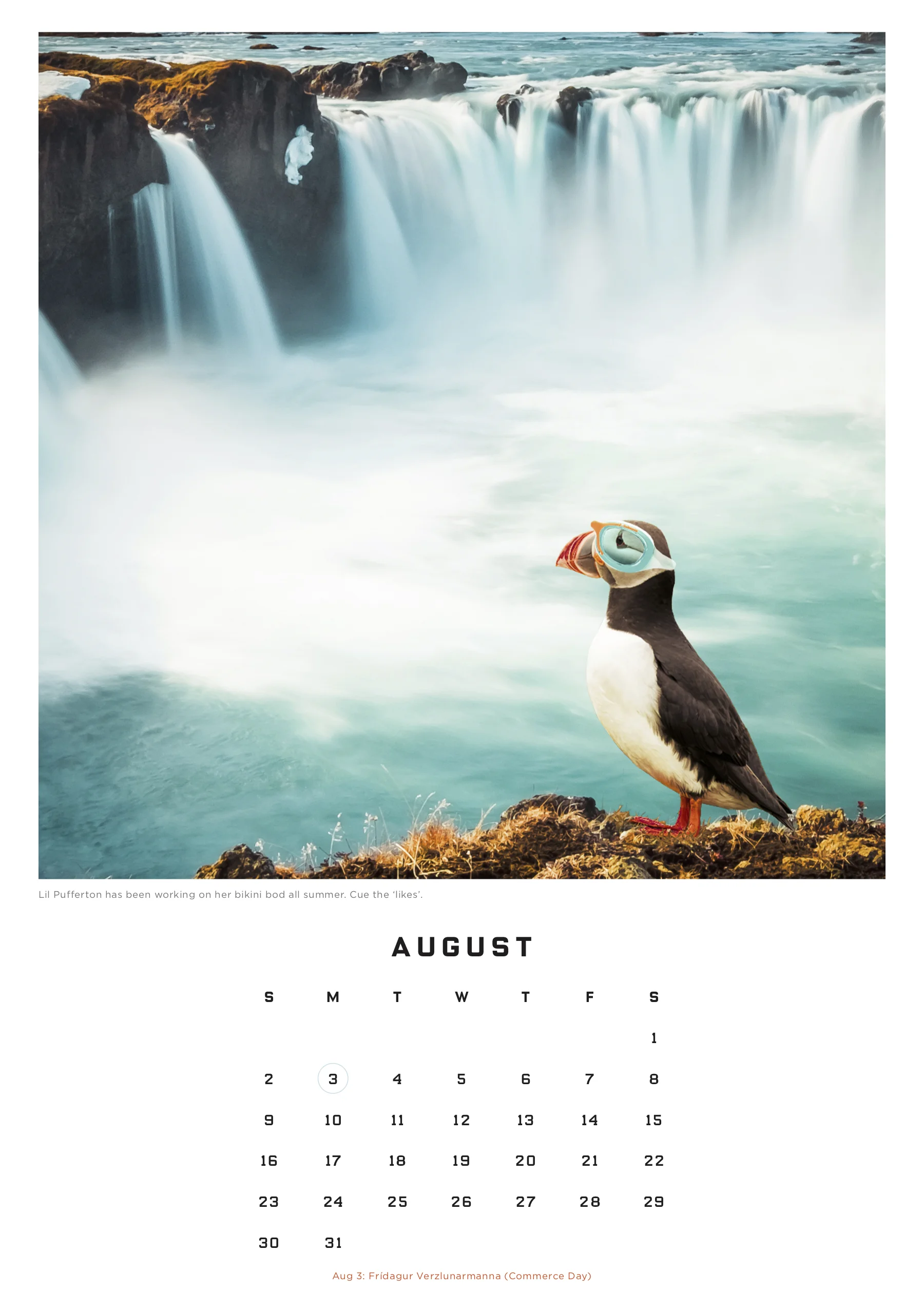 Reyka_adoptpuffin_calendar_full9.jpg