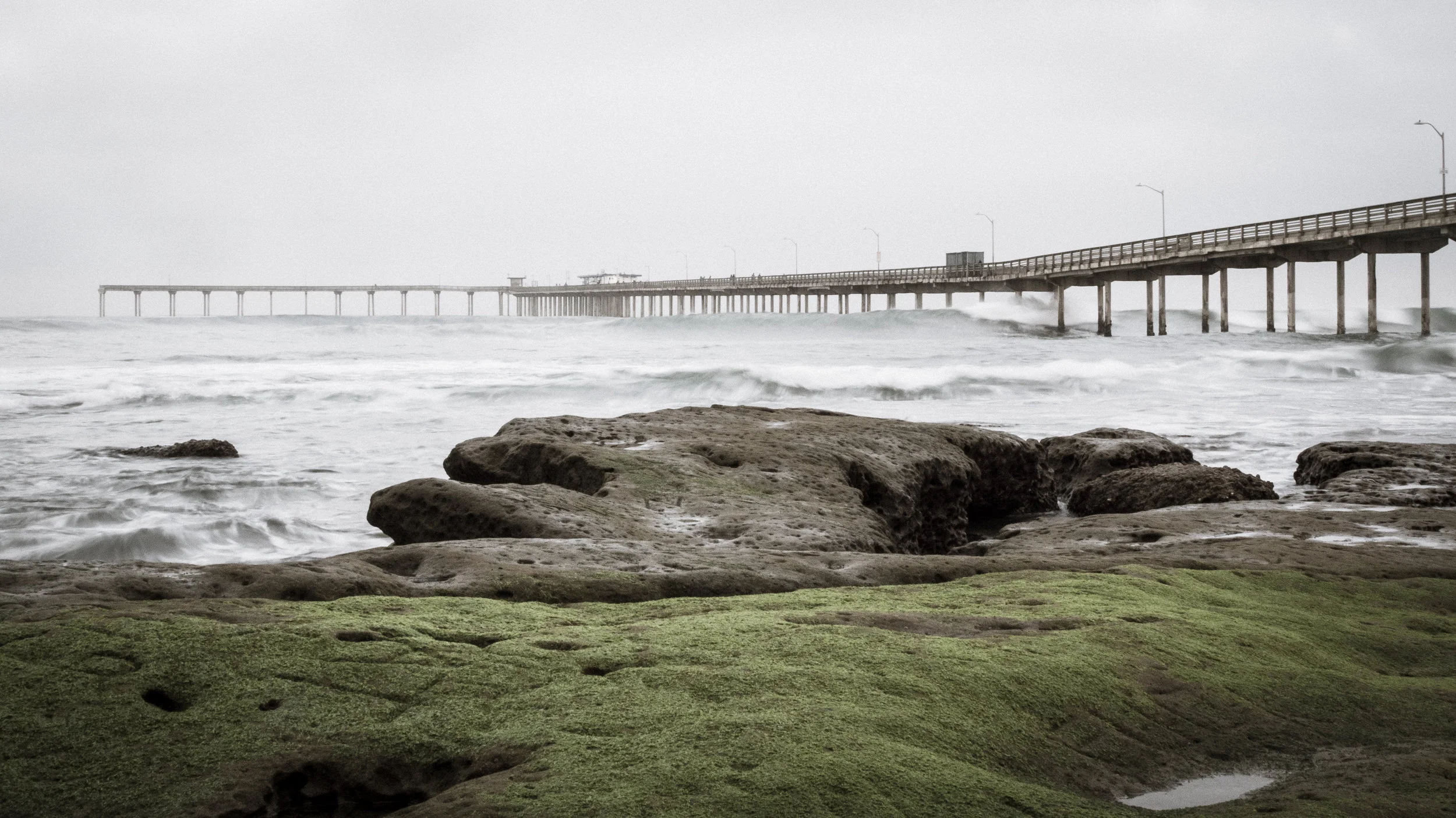 Ocean Beach 1-17-17 (5 of 11).jpg