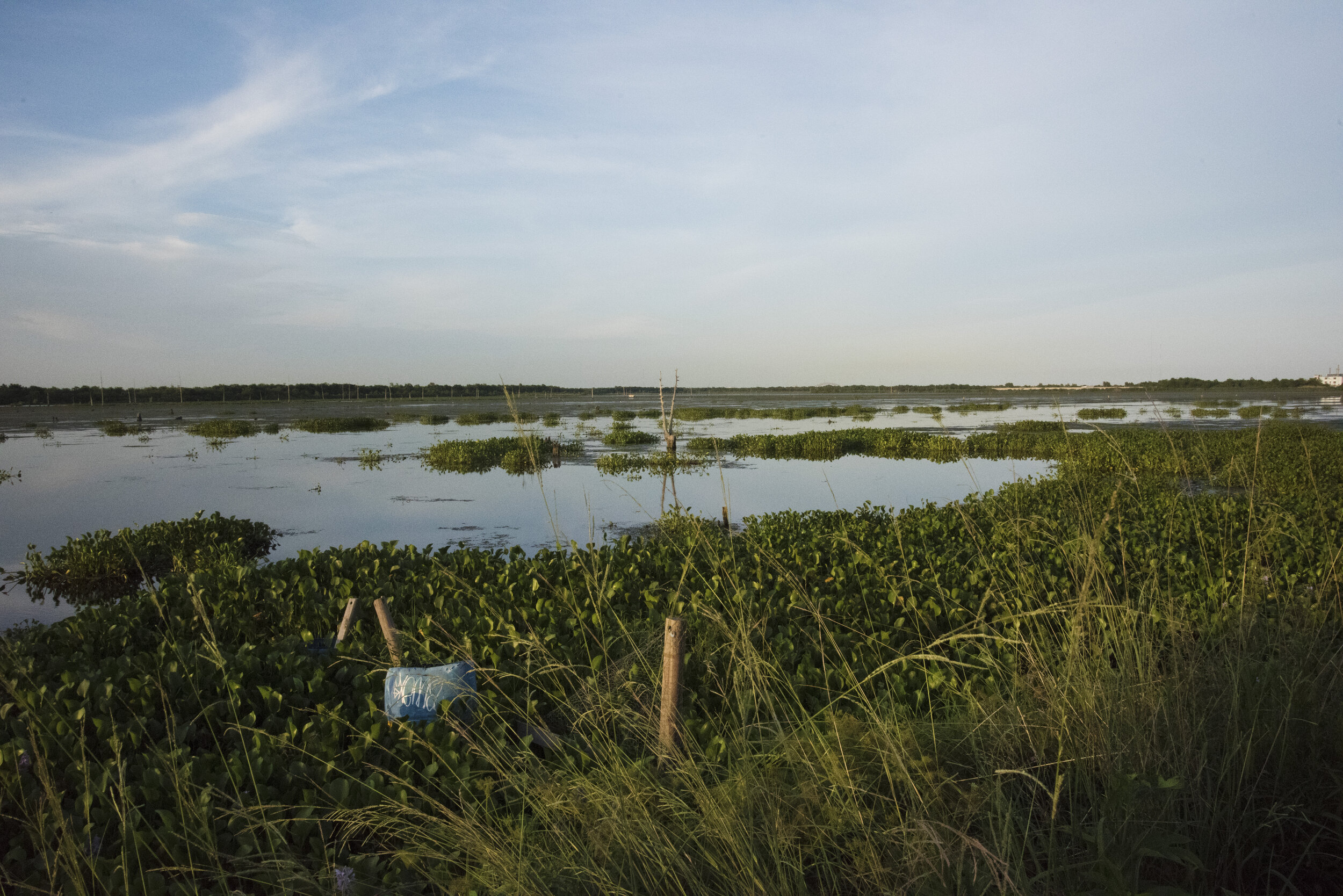 Bayou Bienvenue, Lower 9th Ward, New Orleans, Orleans Parish, Louisiana