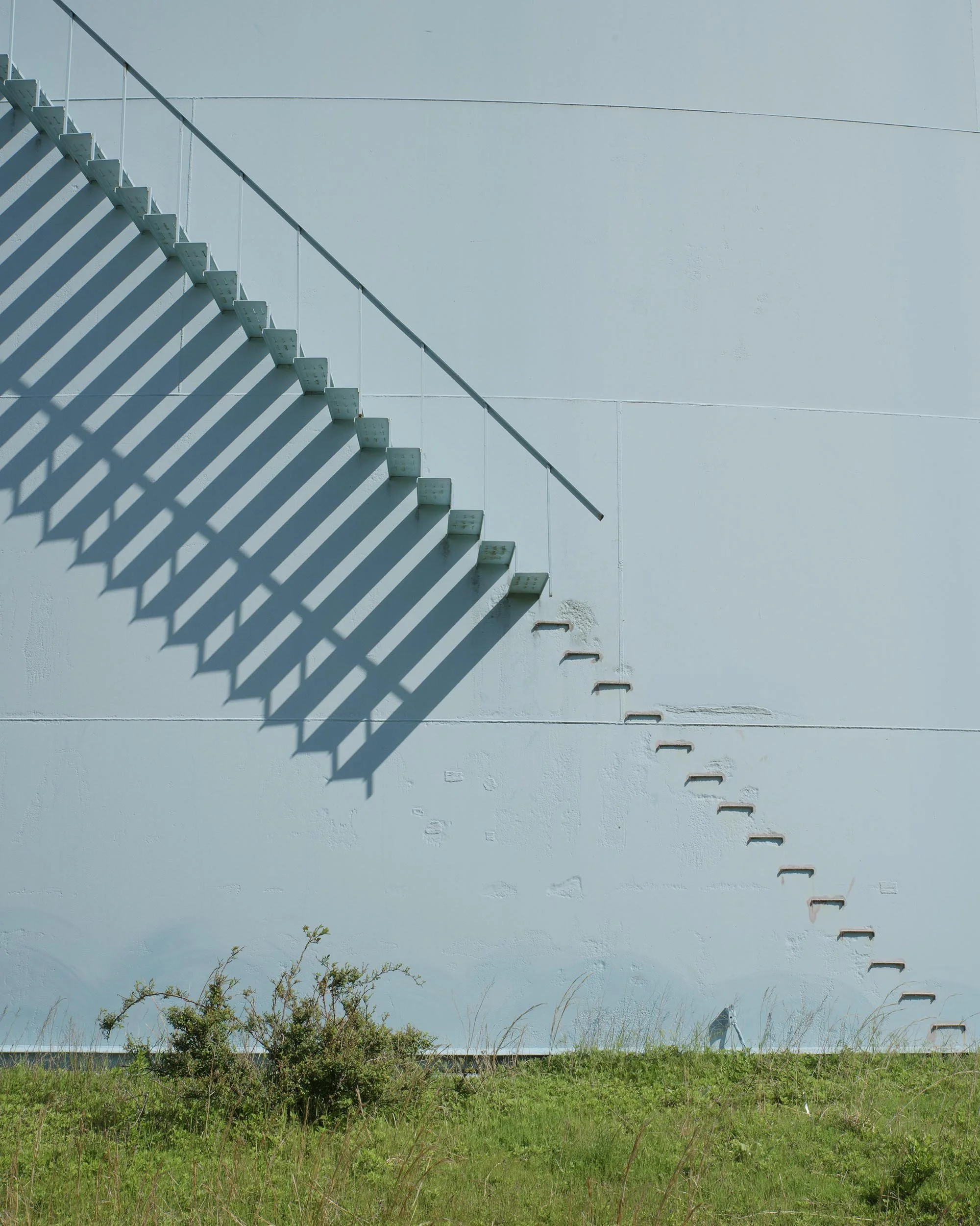  Commissioned project for SCAPE Landscape Architects and Manresa Wilds   2024-2025  