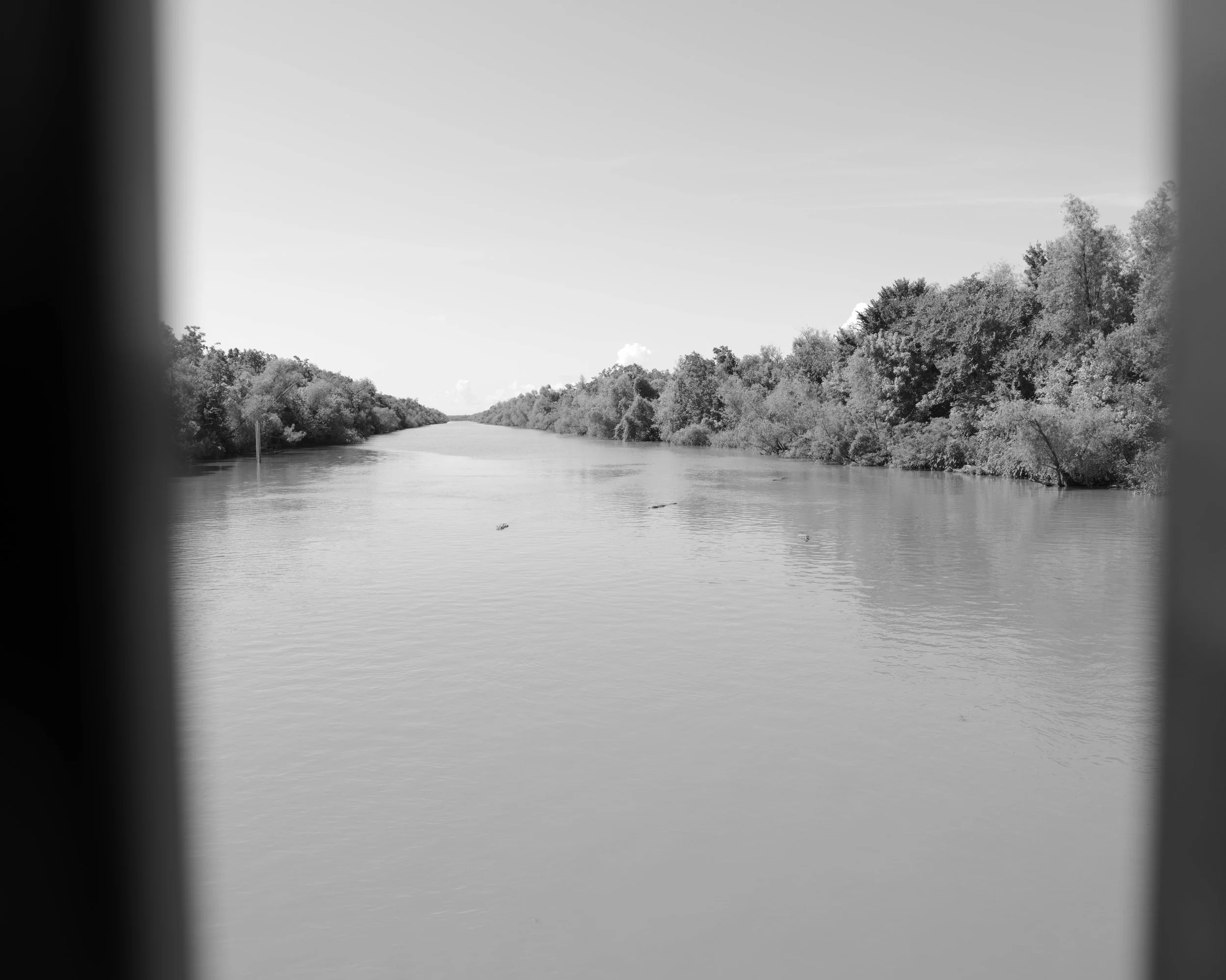 _DSF6207 test copy.jpg