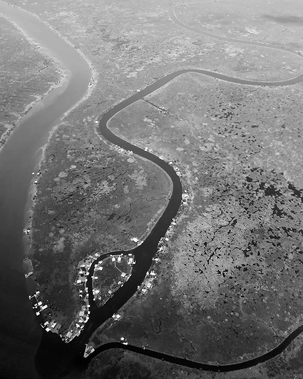 IMG_7453_GRAY_UpScale copy 2 (1) copy 2.jpg