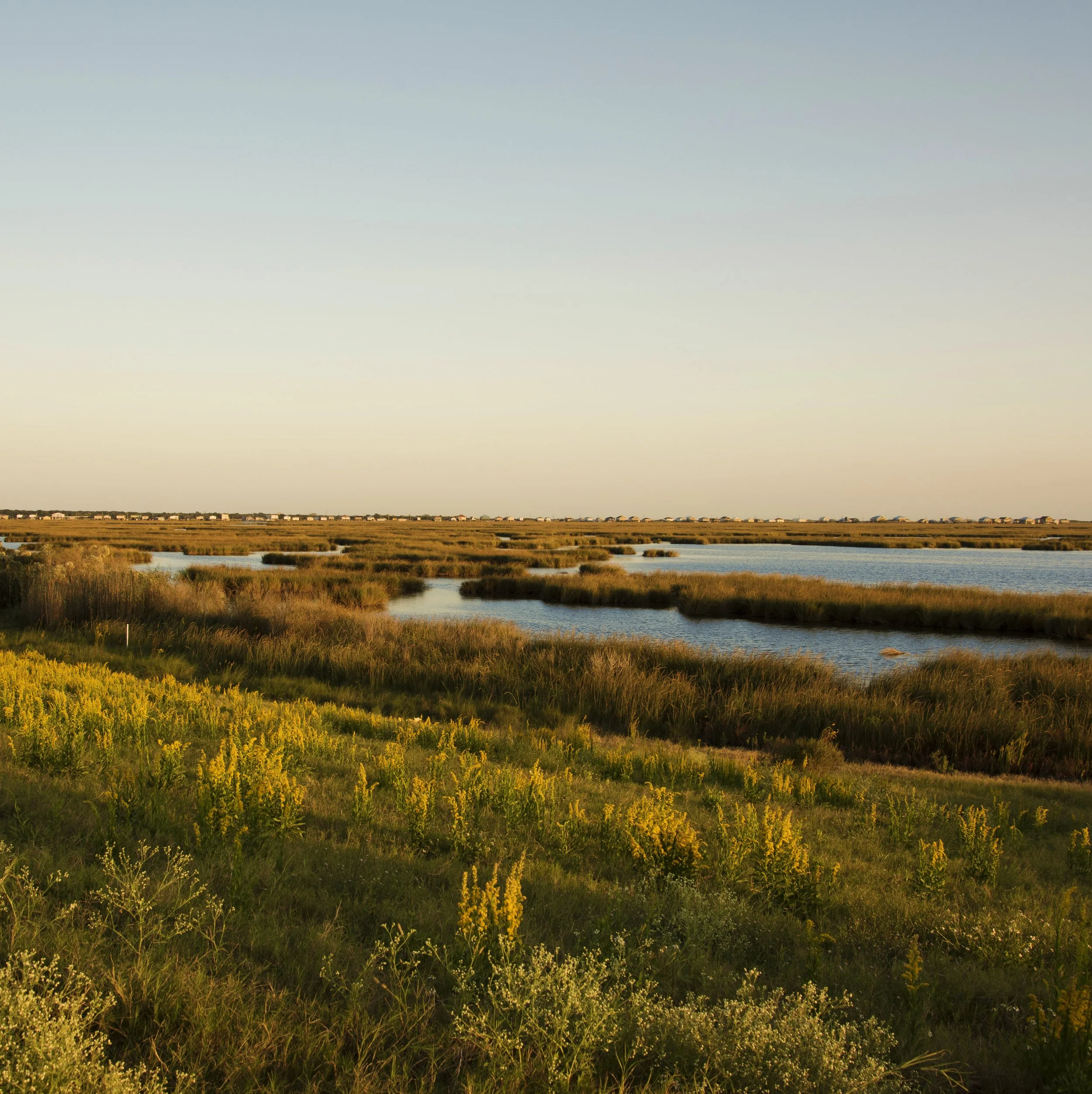 _DSC9896.jpg
