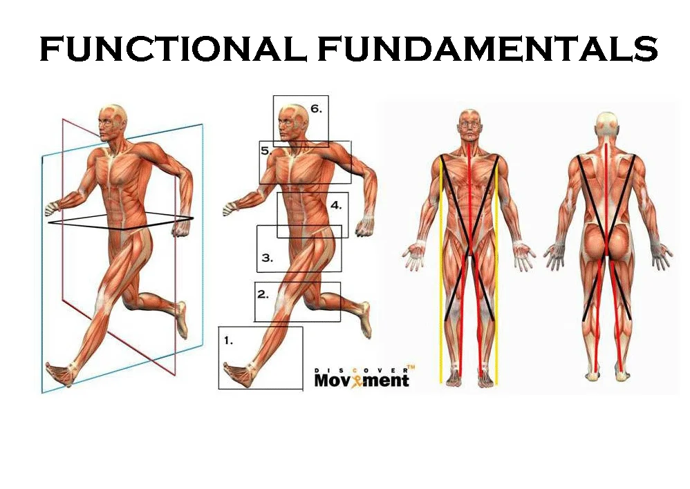 LEARNING AND TEACHING ABOUT MOVEMENT