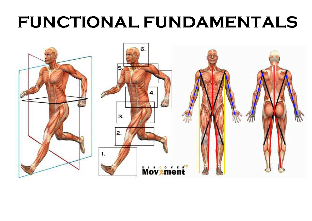 368functional-fundamentals..gif