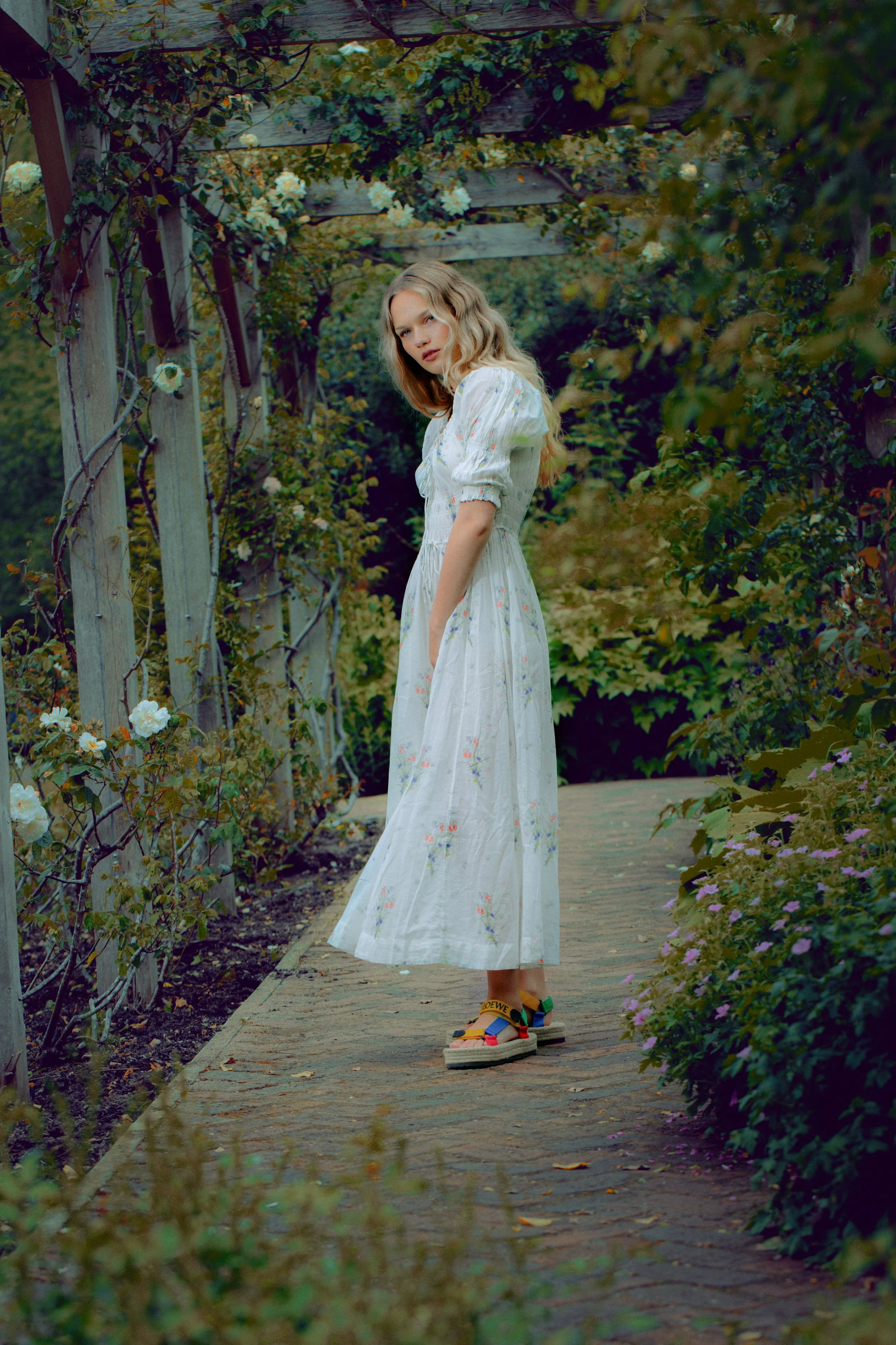 Look3_1.jpg
