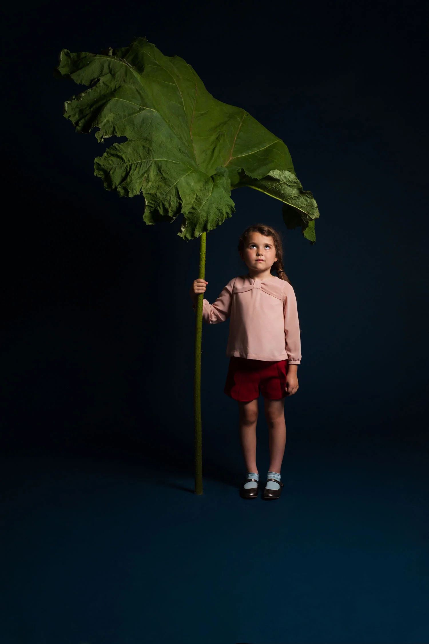 Hucklebones AW14