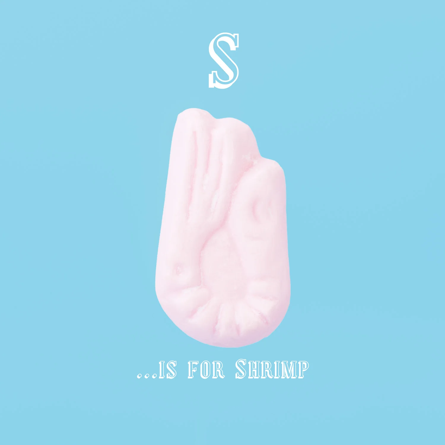 S is for Shrimp