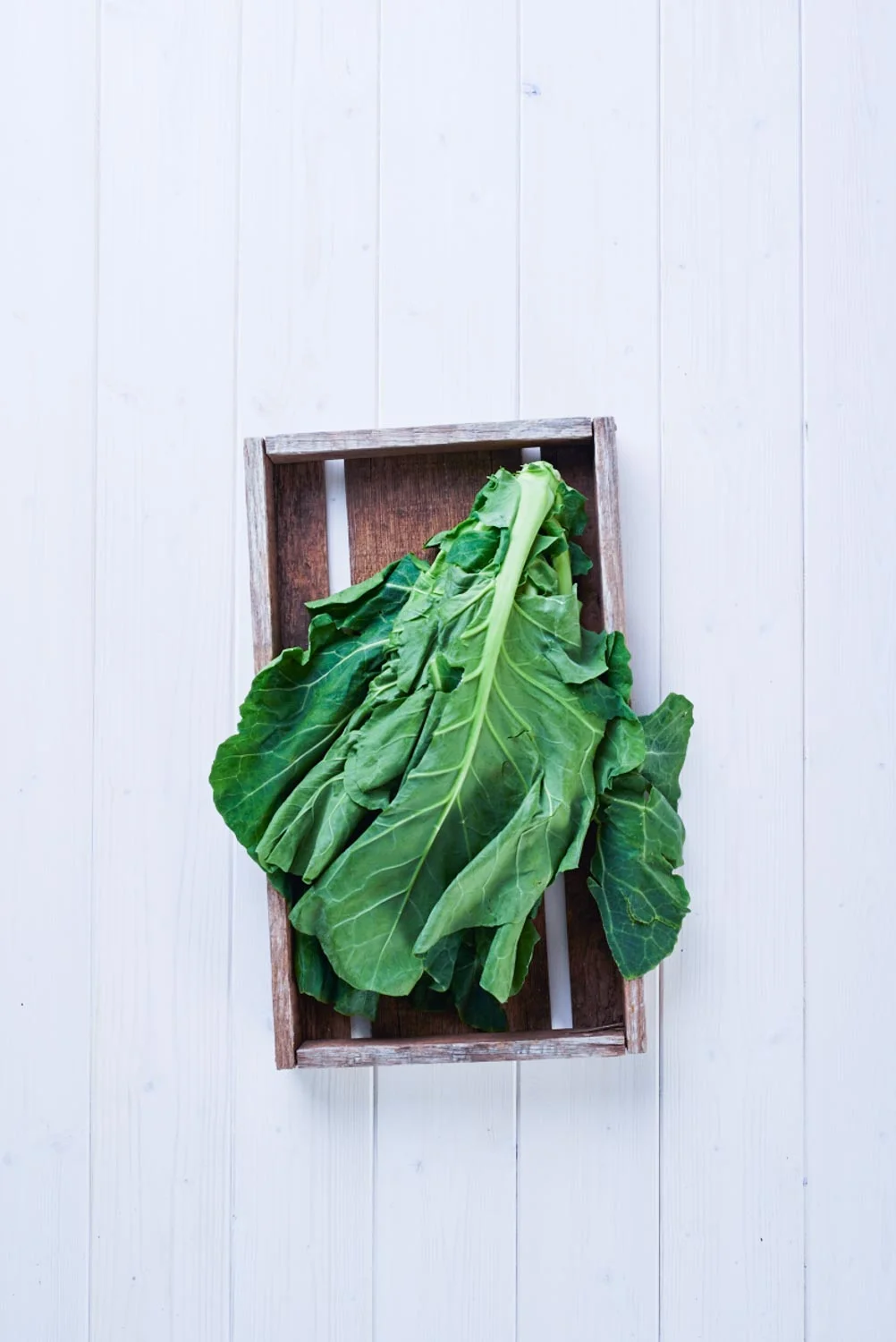 Winter Greens
