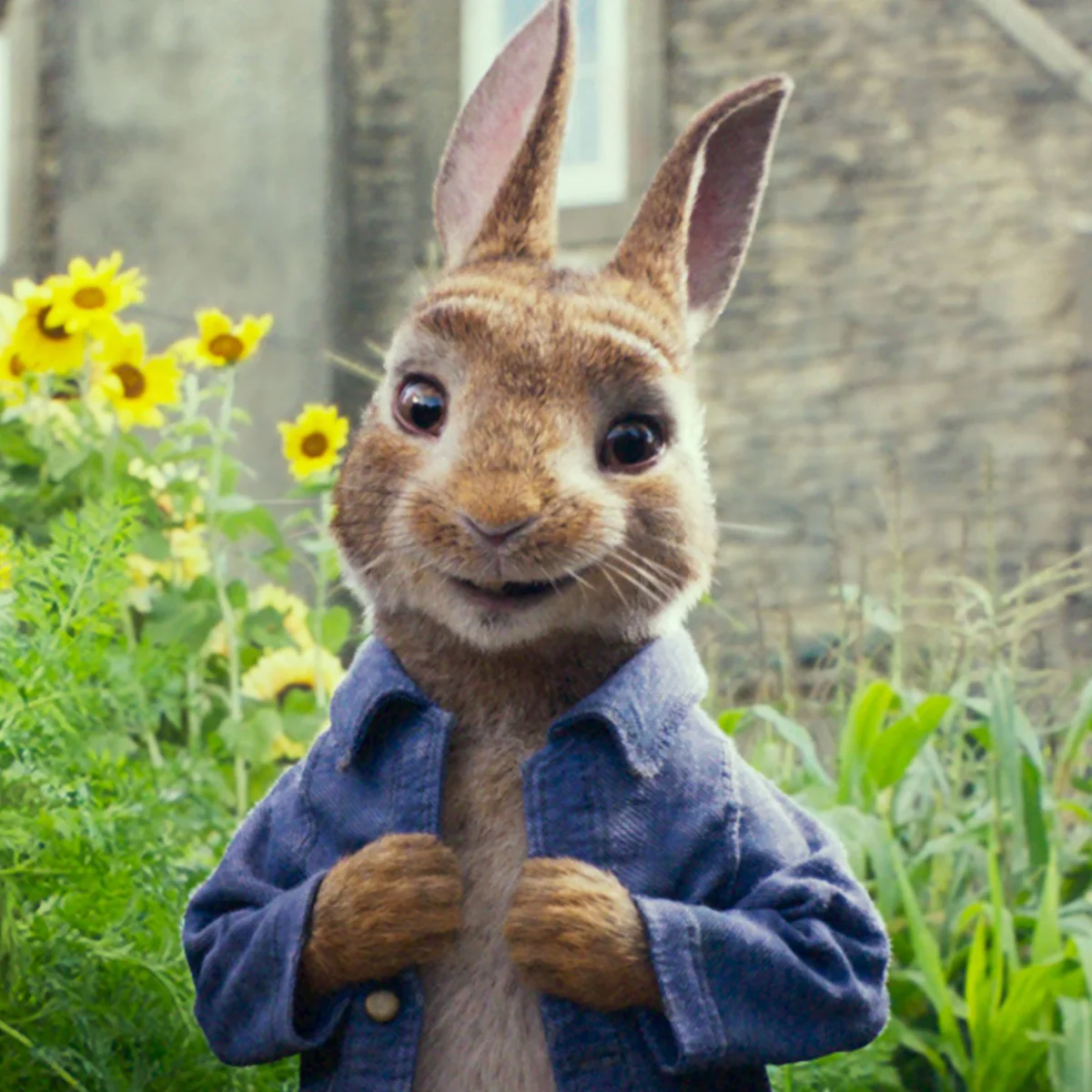 PETER RABBIT