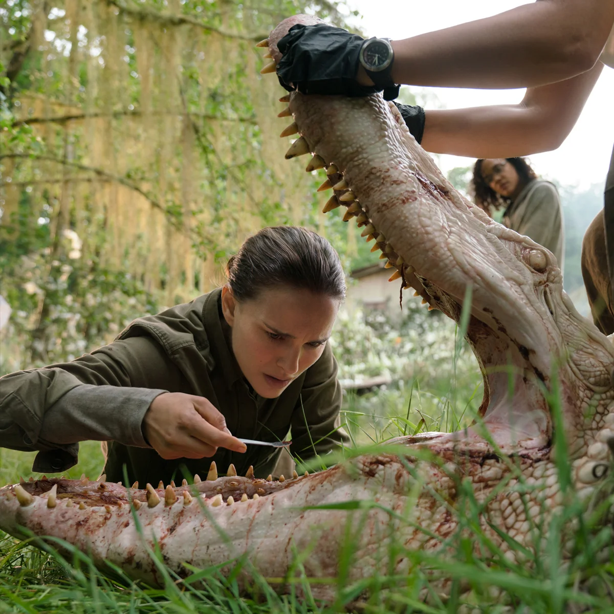 Annihilation