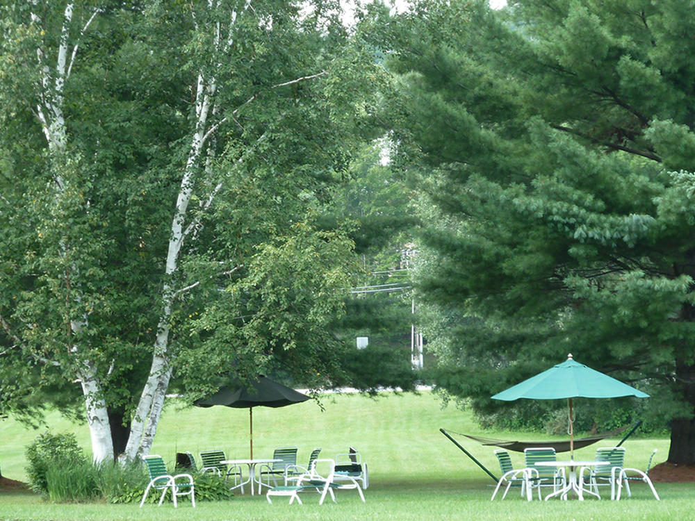 Relaxing Lawn