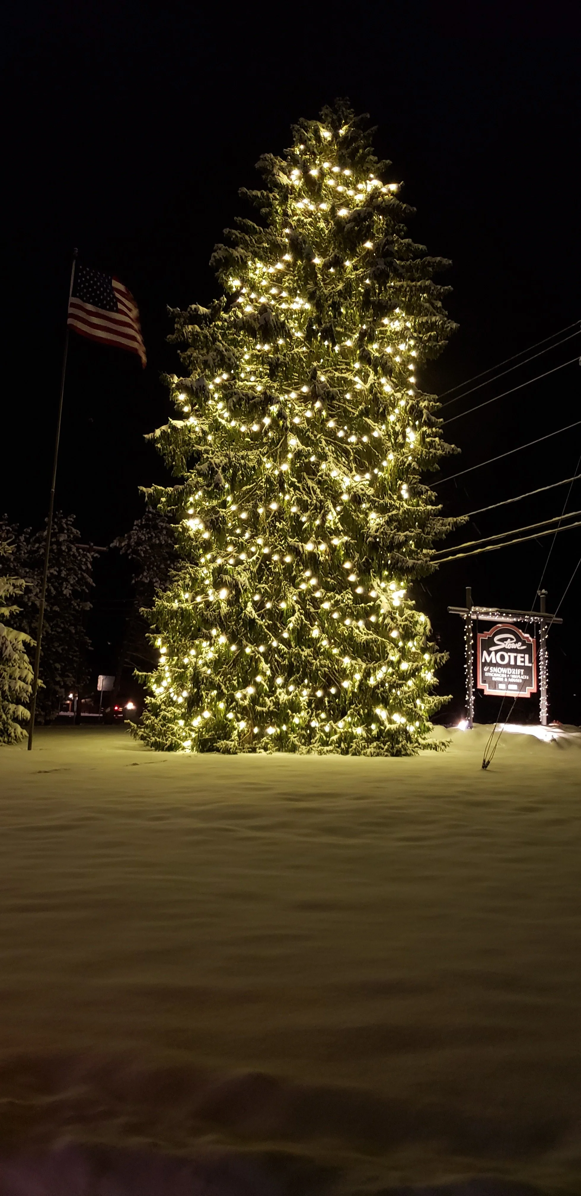 Stowe’s Tallest Christmas Tree!