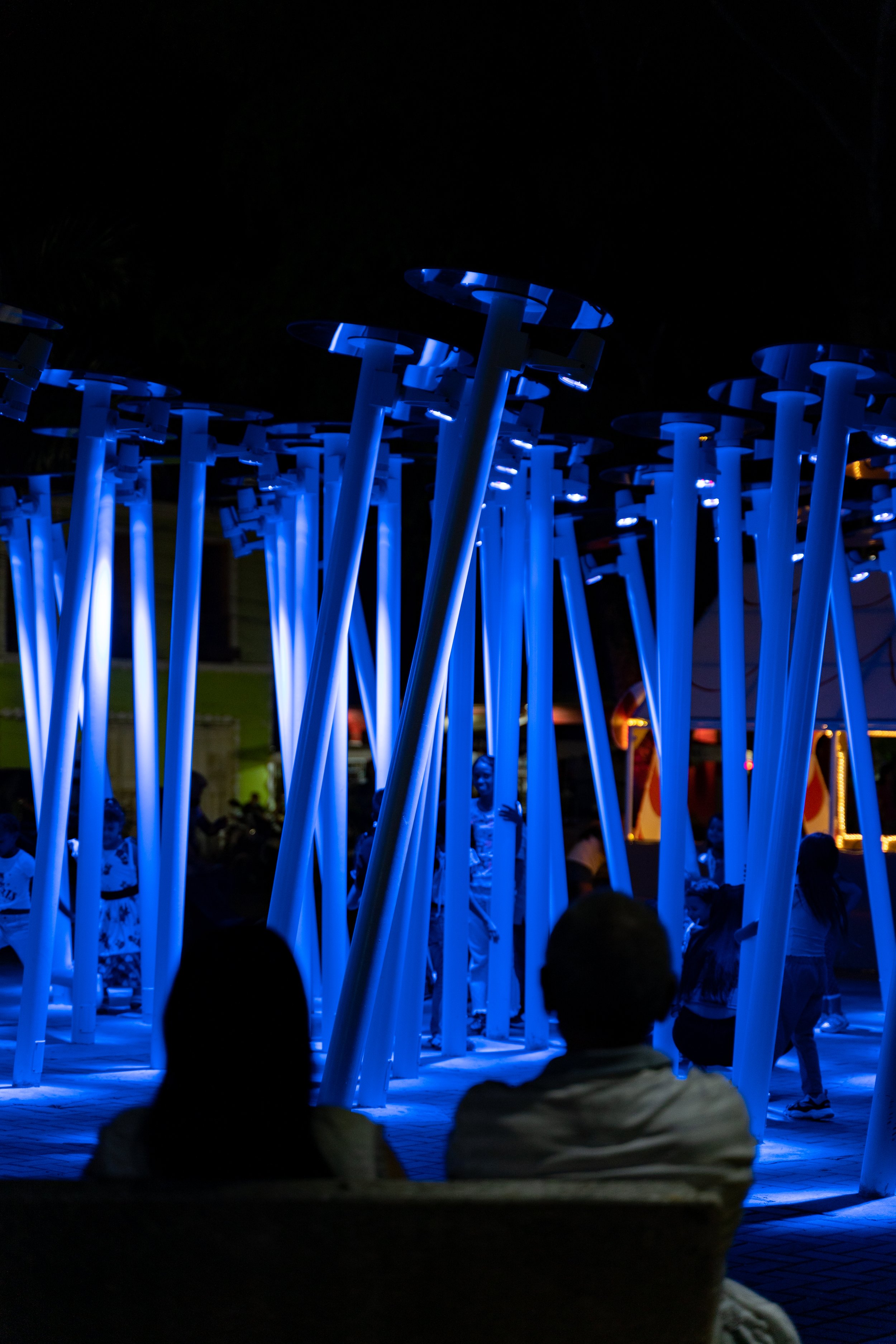 Flor de luz  (17).jpg