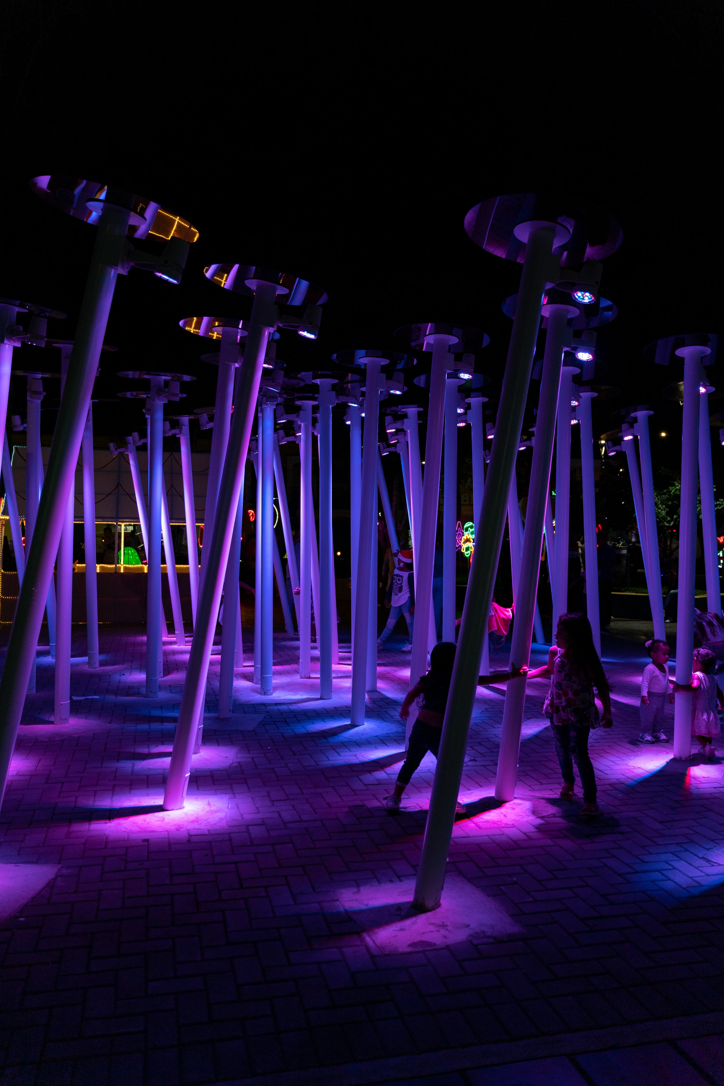 Flor de luz  (20).jpg