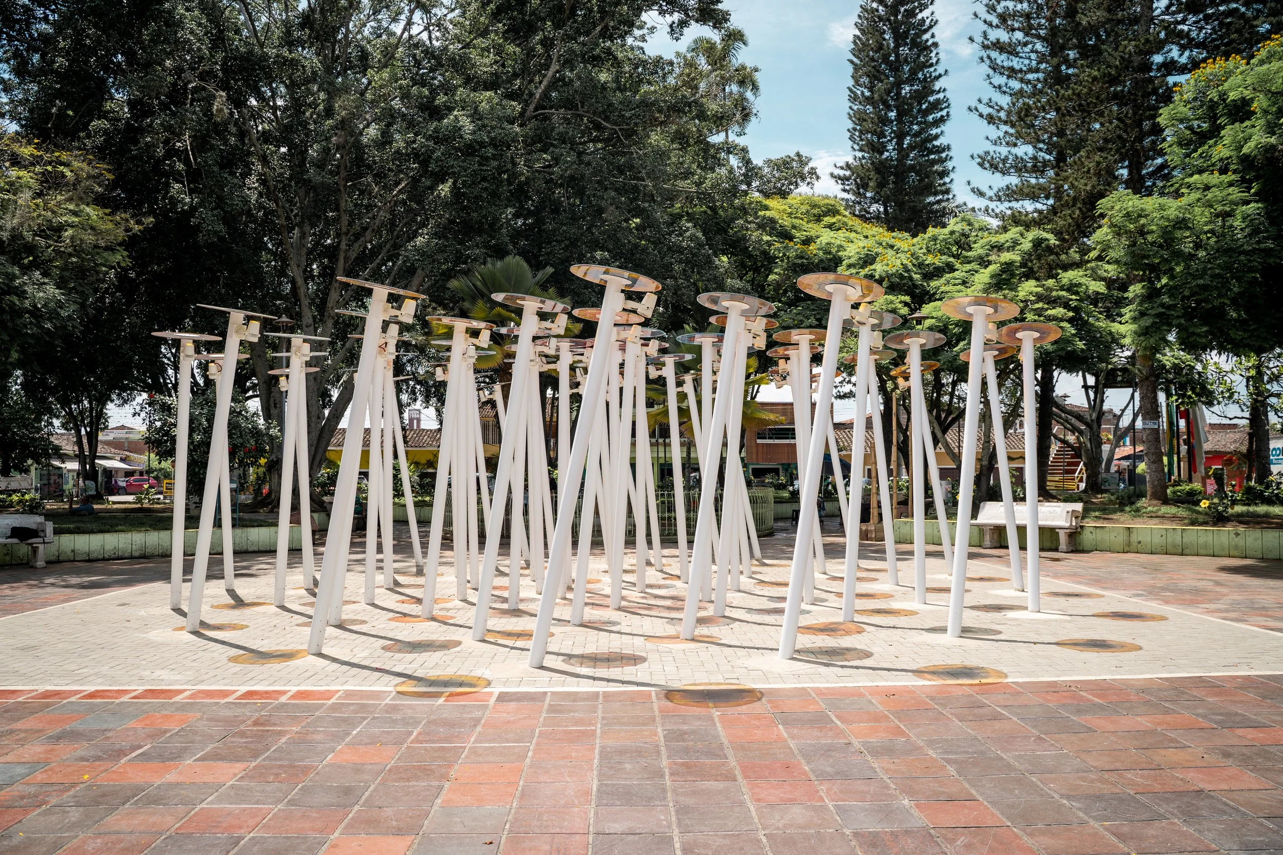 Flor de luz Dia (5).jpg