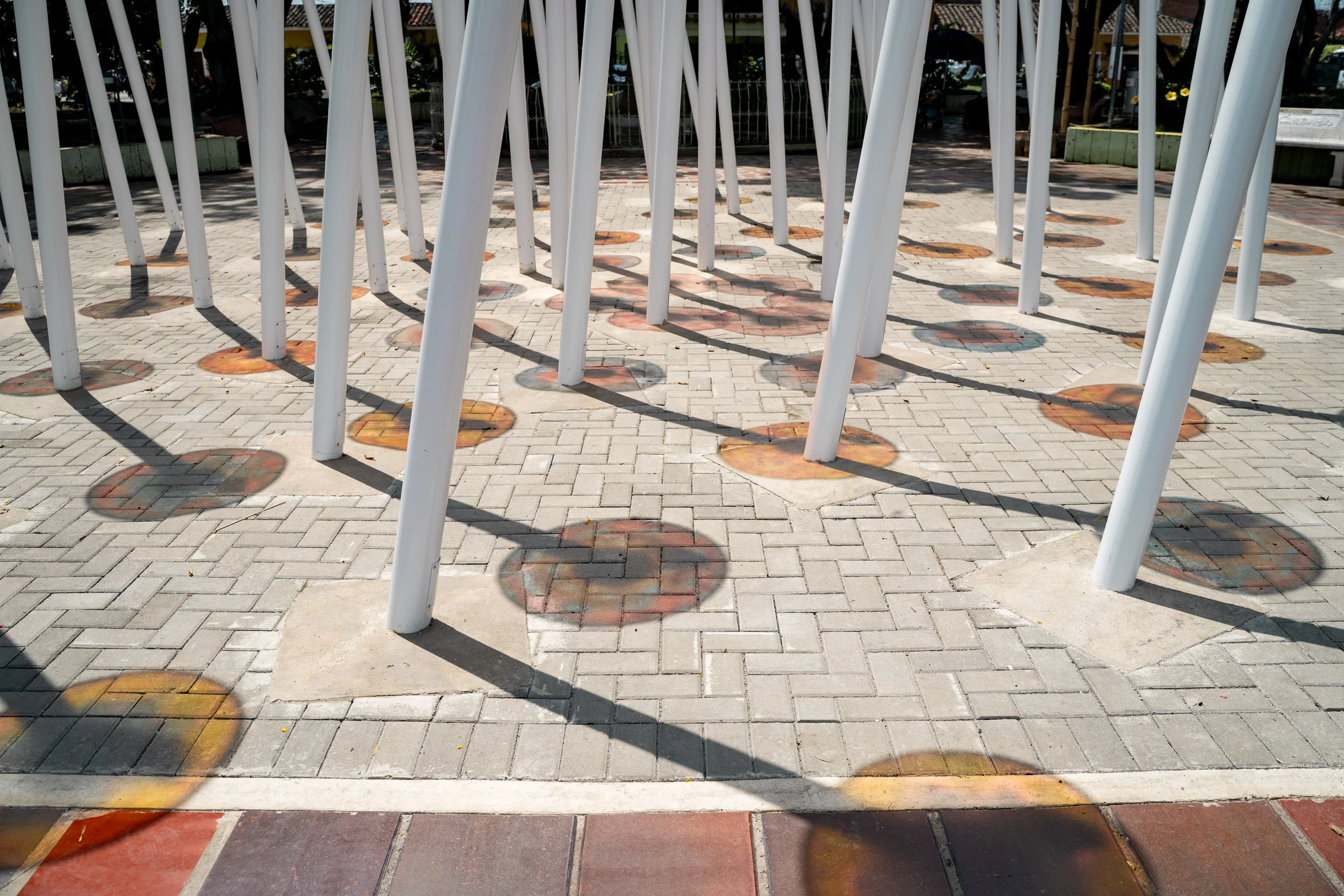 Flor de luz Dia (6).jpg