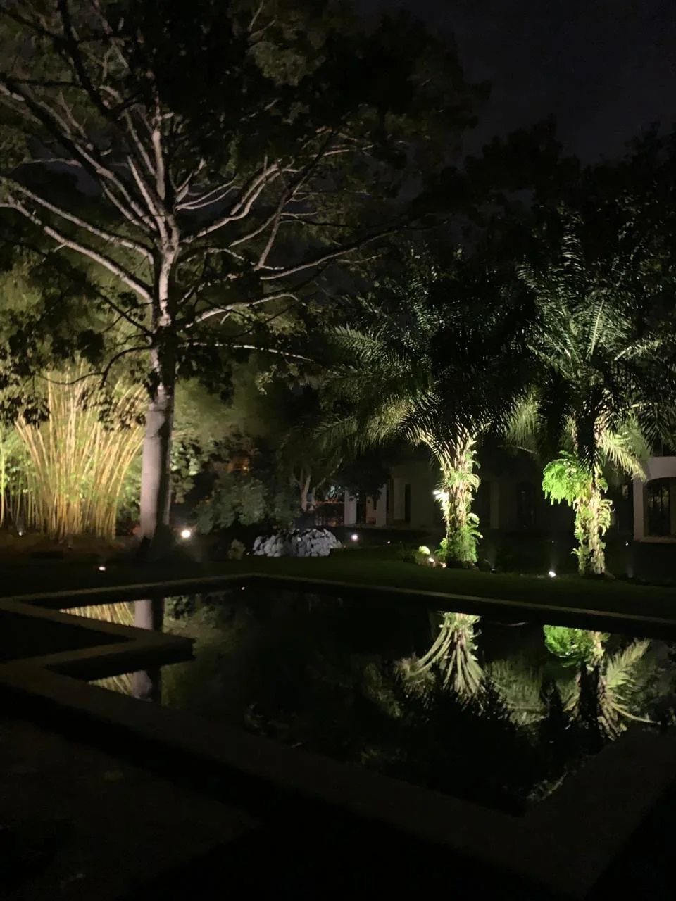 ADRIANA ARBOLEDA CASA SAMAN  (2).JPG