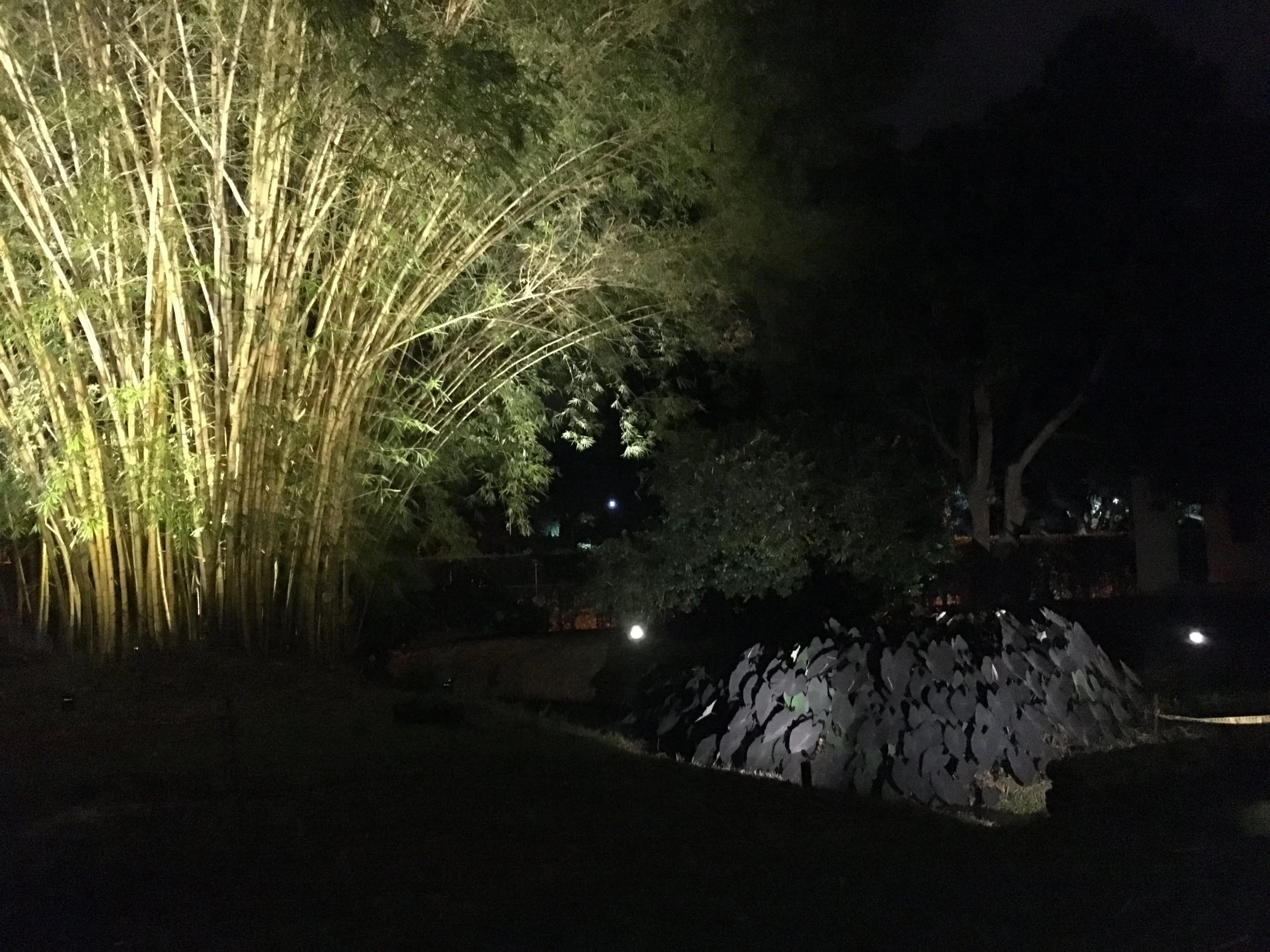 ADRIANA ARBOLEDA CASA SAMAN  (3).JPG