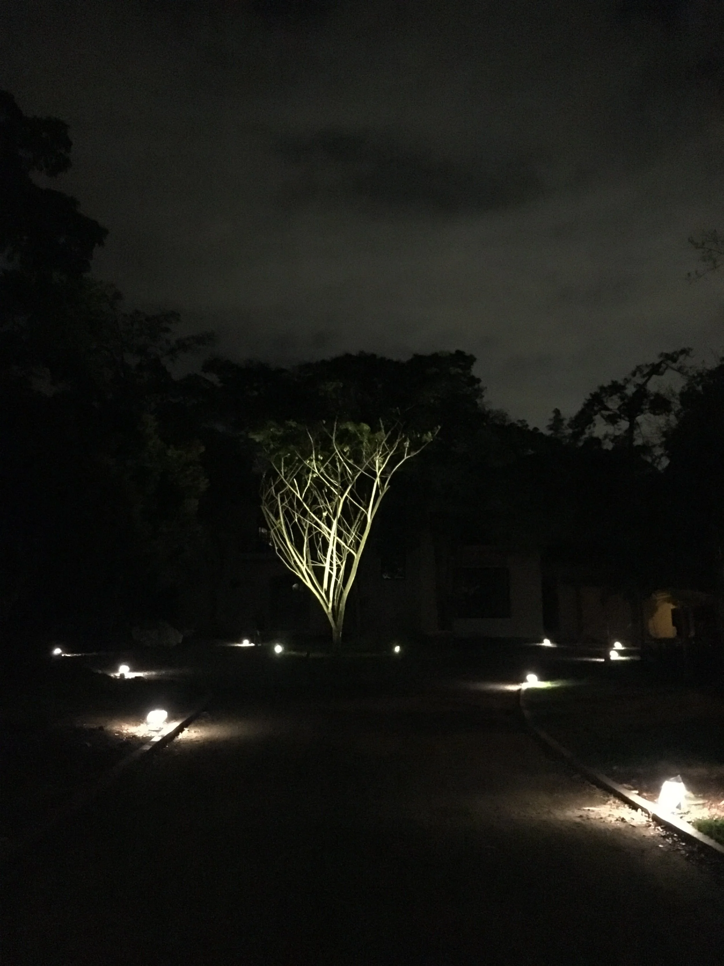 ADRIANA ARBOLEDA CASA SAMAN  (4).JPG