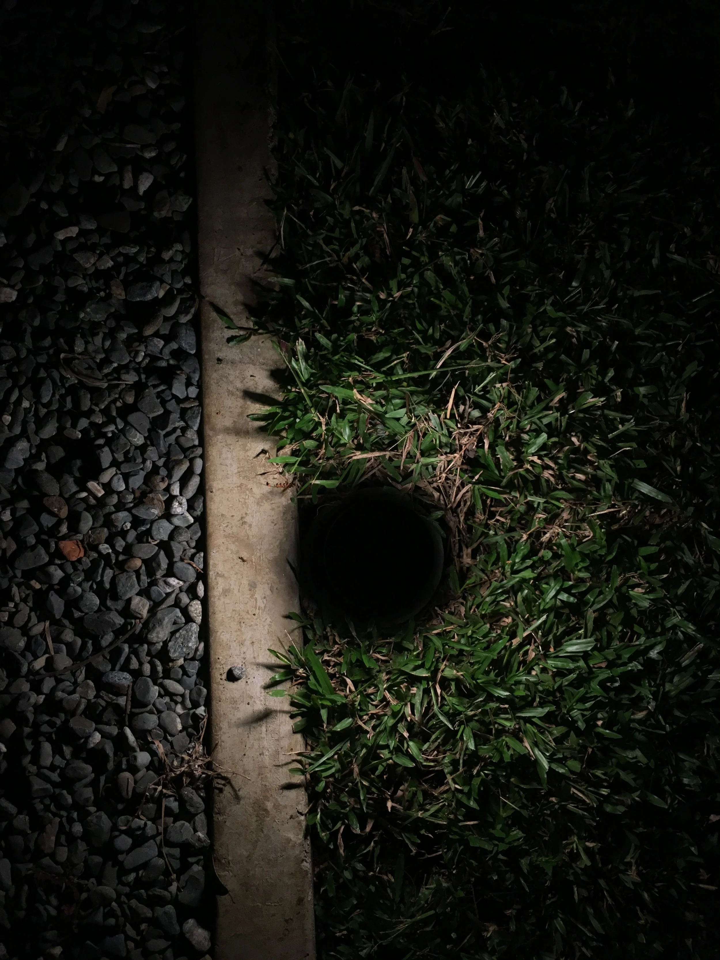 ADRIANA ARBOLEDA CASA SAMAN  (5).JPG