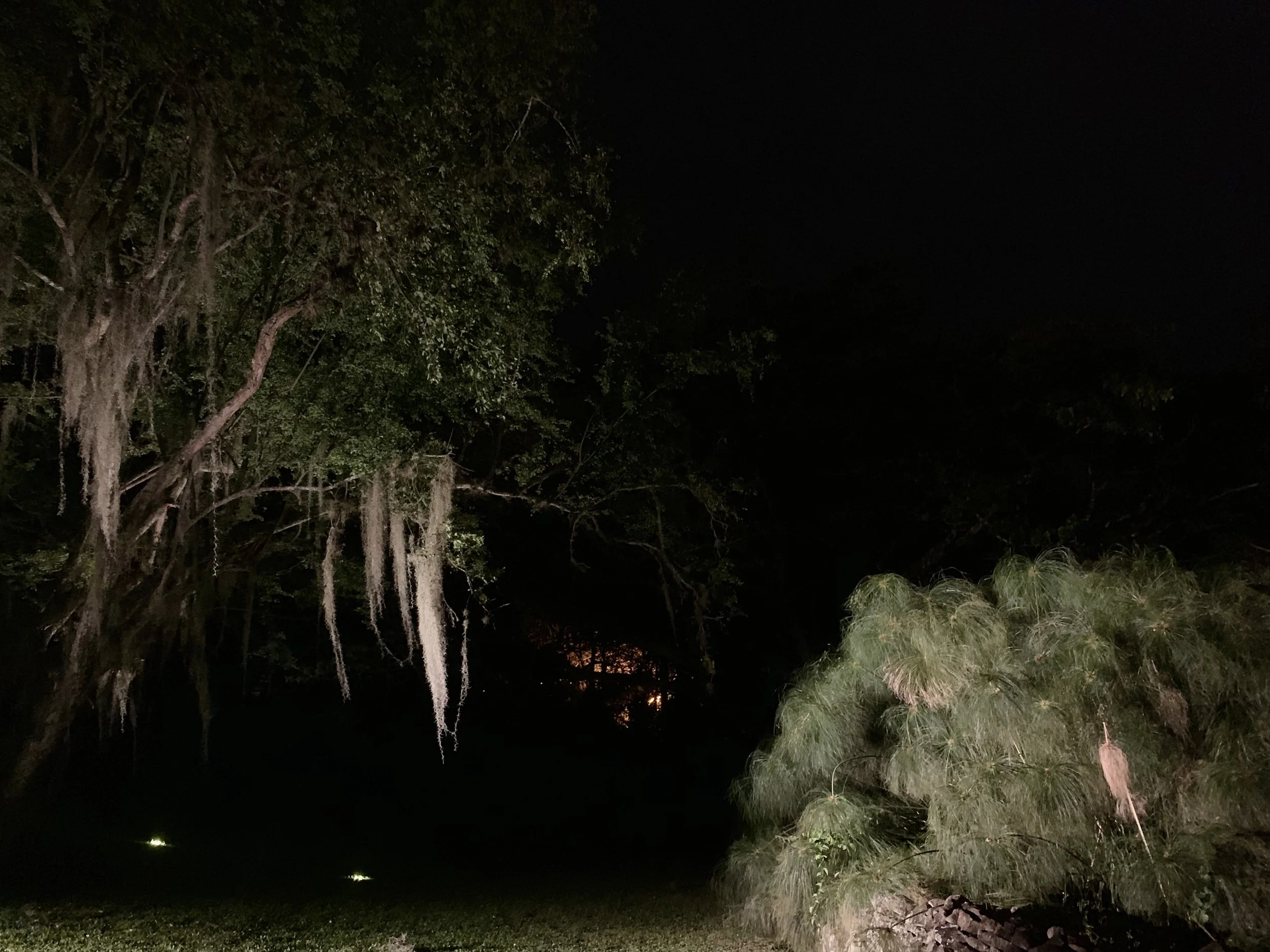 CHIARA GARCES (4).JPG