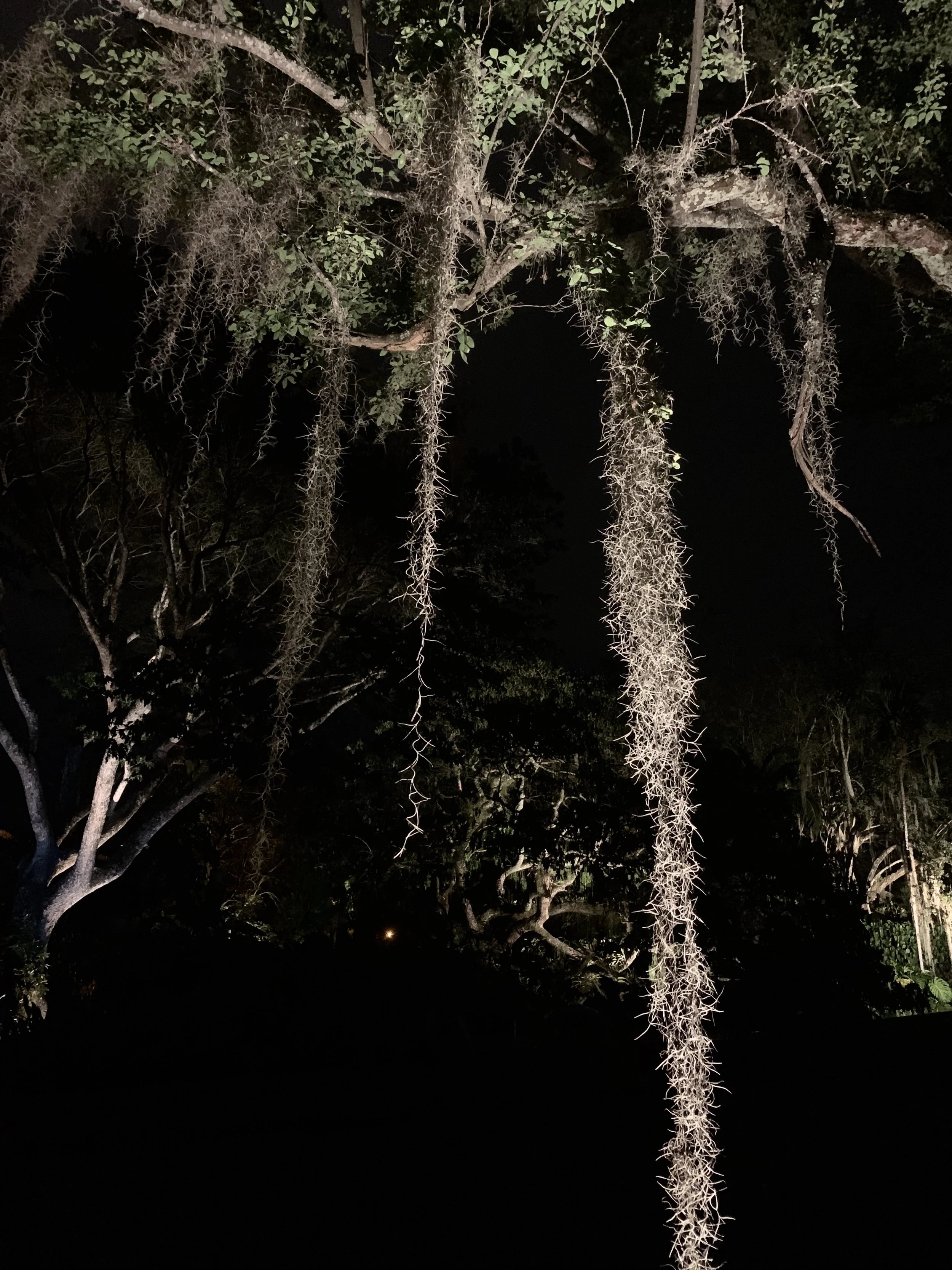 CHIARA GARCES (6).JPG