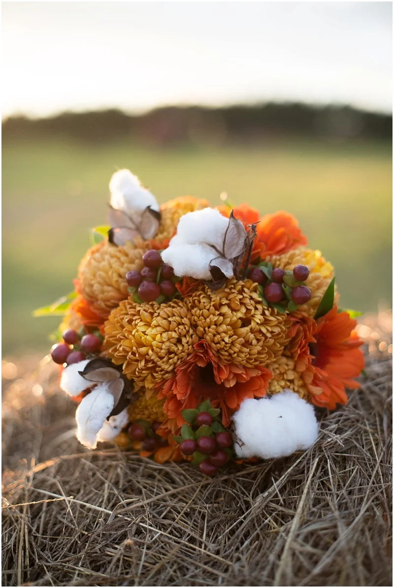 roxannephotography_2871.jpg