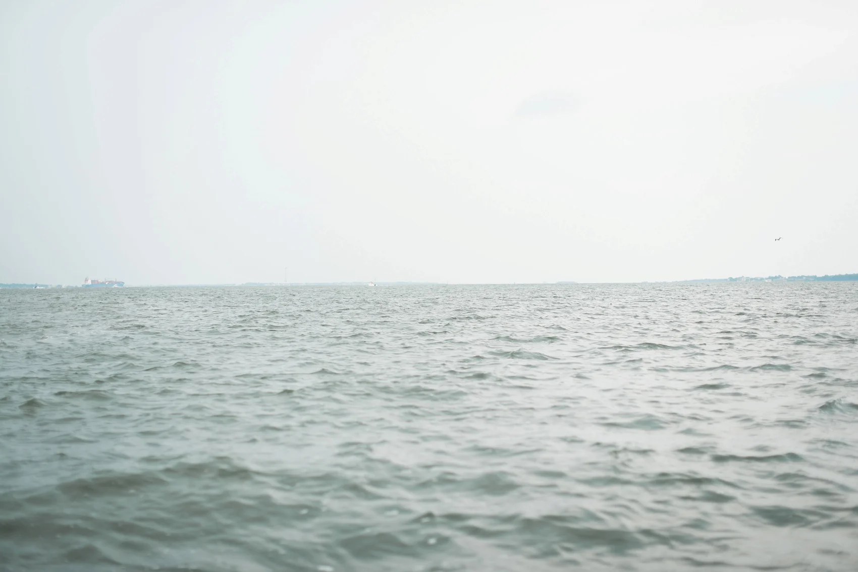charleston_proposal_photographer_0240.jpg