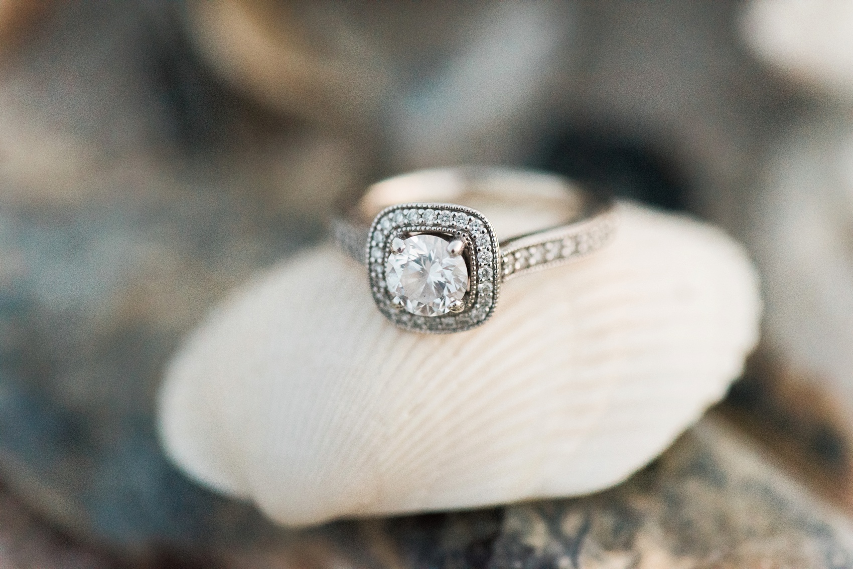 edistobeach_engagement_session_0690.jpg