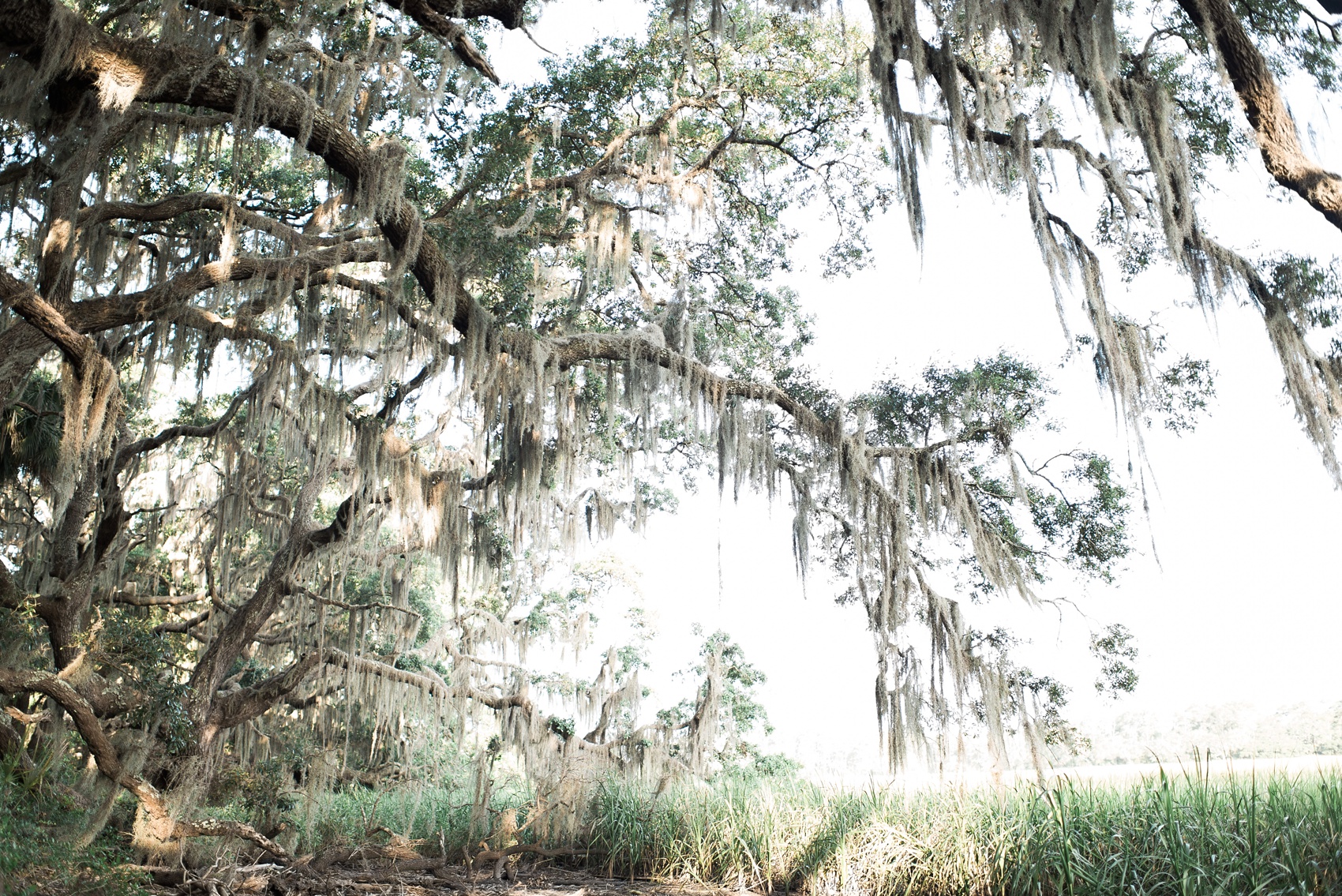 edistobeach_engagement_session_0730.jpg