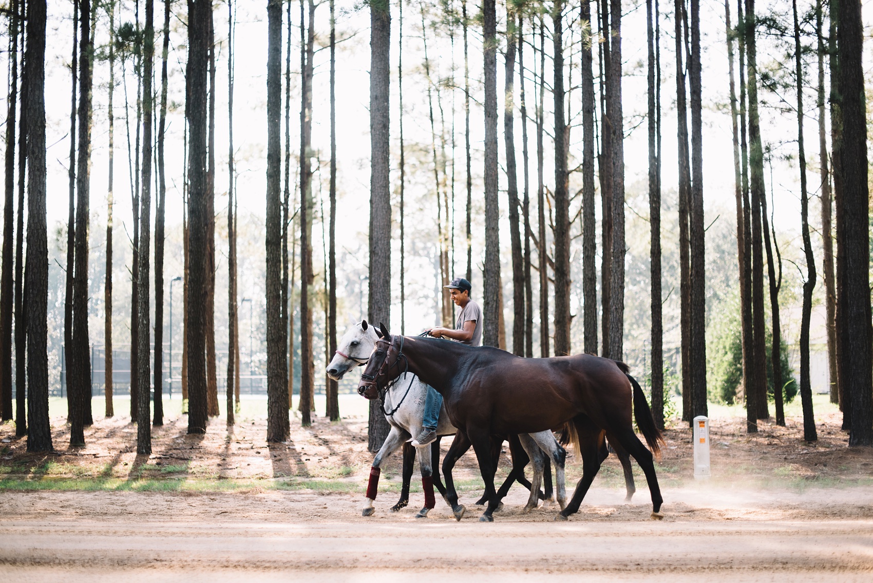 Aiken Wedding Photographer | Aiken Wedding | New Bridge Polo Club | New Bridge Polo Club Wedding | New Bridge Polo Club Aiken, SC | Cote Designs | Still Co. | Adventurous Wedding Photographer