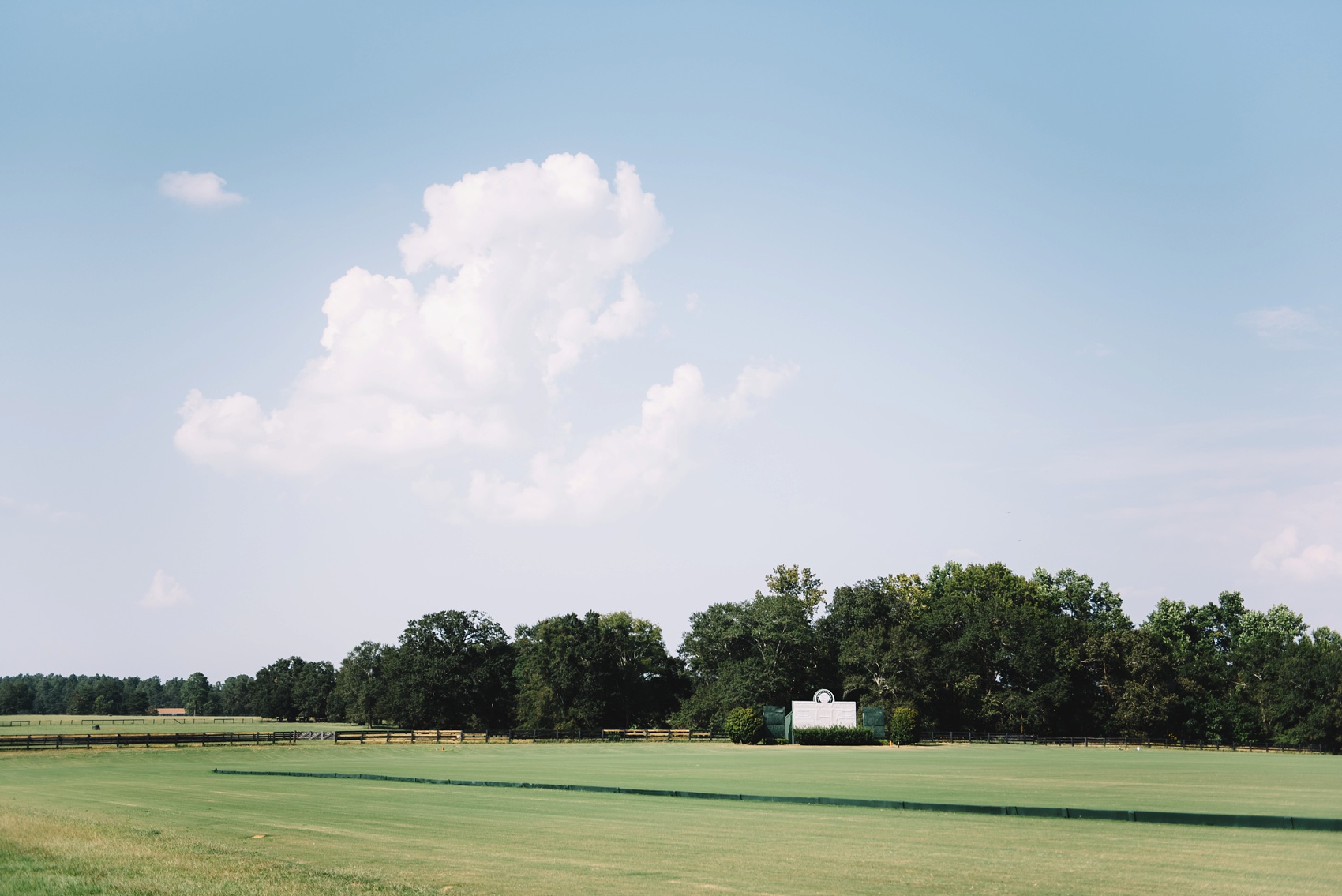 Aiken Wedding Photographer | Aiken Wedding | New Bridge Polo Club | New Bridge Polo Club Wedding | New Bridge Polo Club Aiken, SC | Cote Designs | Still Co. | Adventurous Wedding Photographer