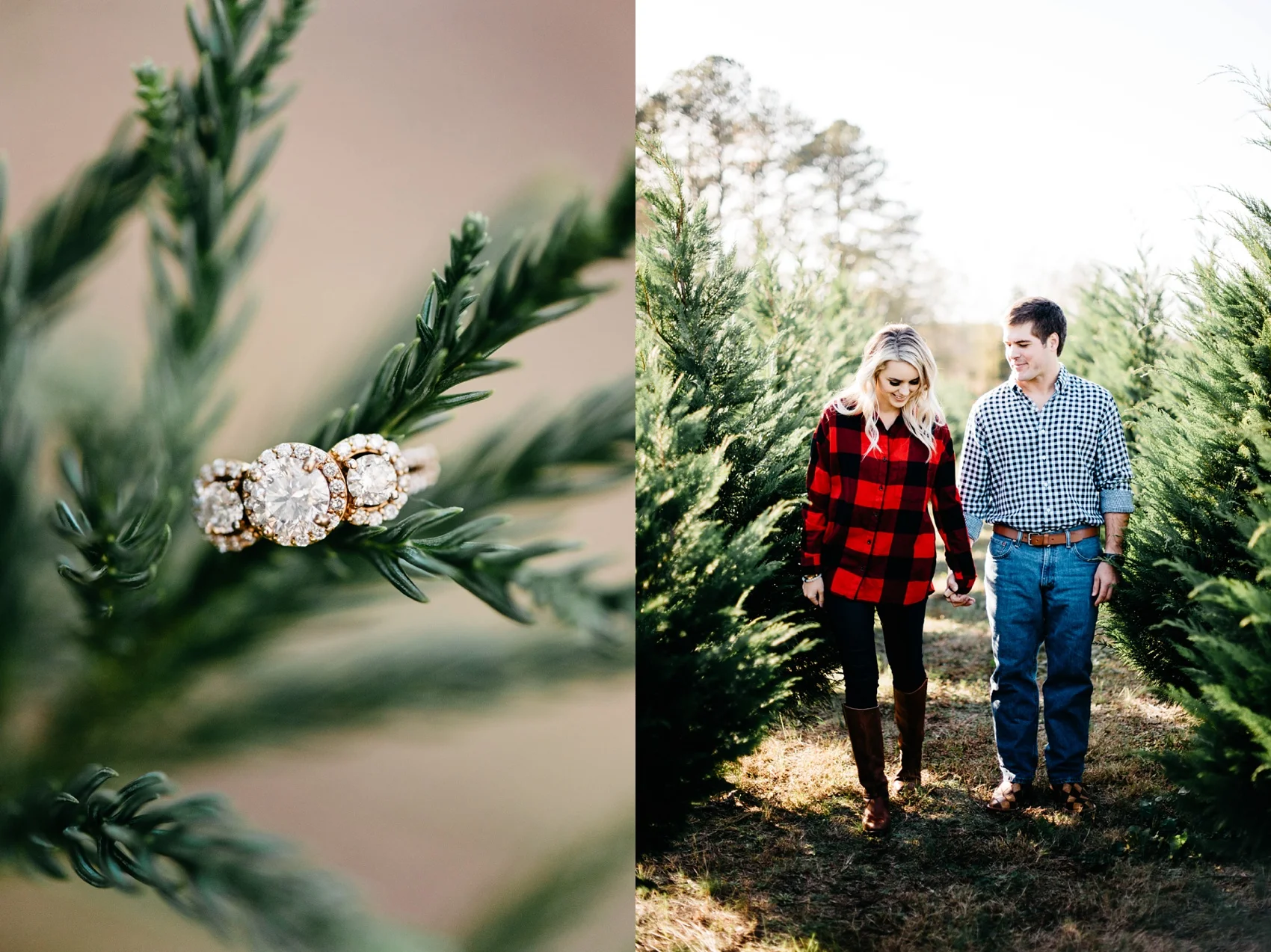 christmastreefarm_engagement_session_1454.jpg