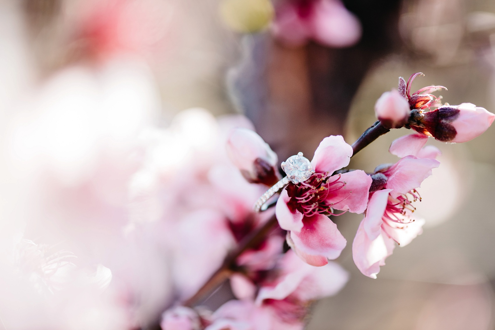 peachtree_engagement_session_1840.jpg