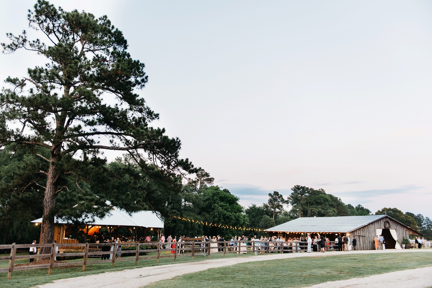 georgia wedding photographer, the barn at sanderlin horse farm, sc wedding photographer, still co.