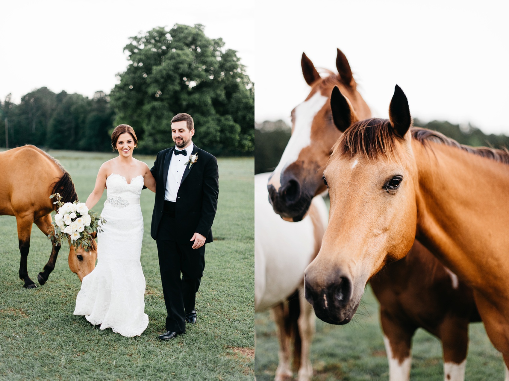 georgia wedding photographer, the barn at sanderlin horse farm, sc wedding photographer, still co.