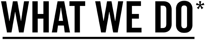 What we do-01.jpg