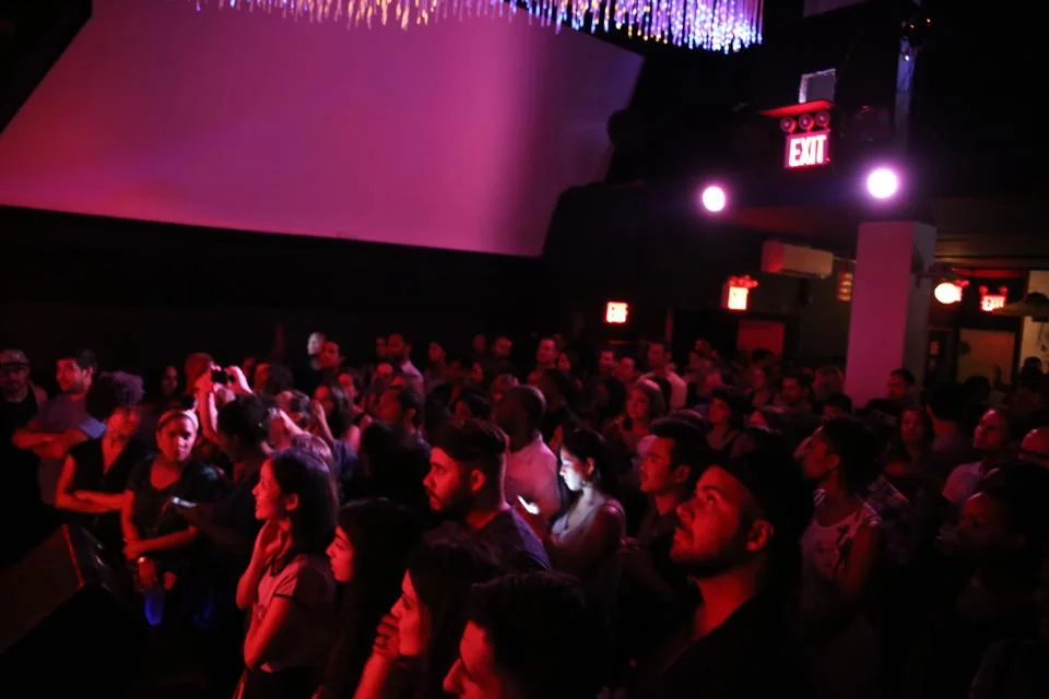 EP Release Show-Les Reveries of Une Jeune Noire-Cameo Gallery, BK, NY Photo cred: VanDyke
