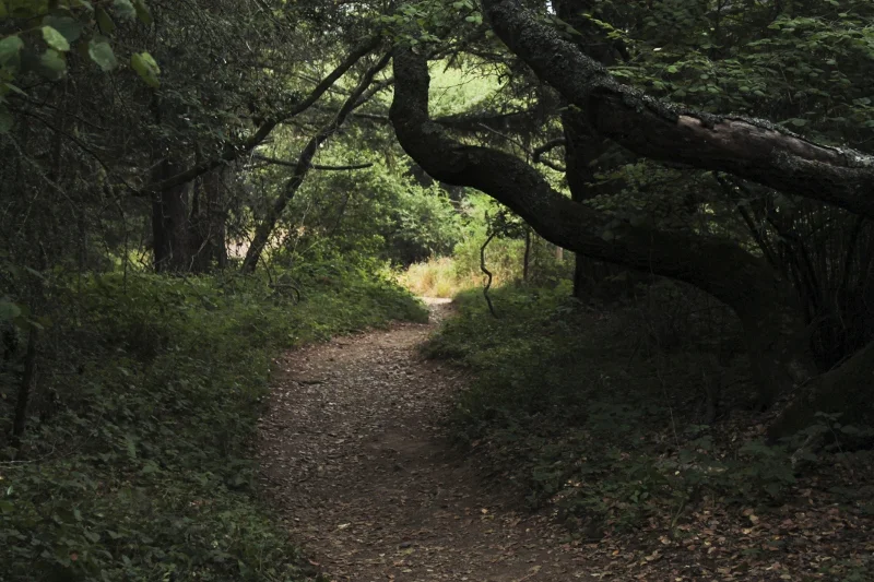 0193 (800x533).jpg