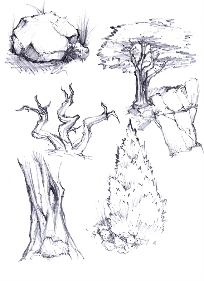 Tree_studies_02.jpg