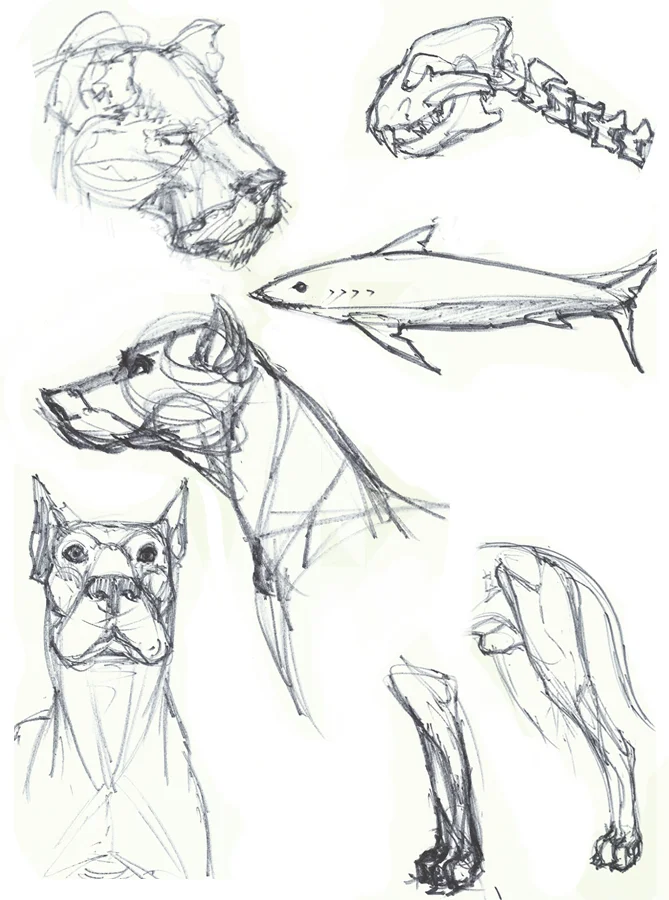 Beasts_01.jpg