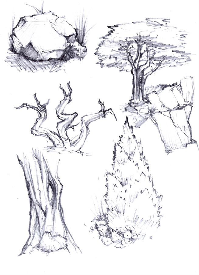 Tree_studies_02.jpg