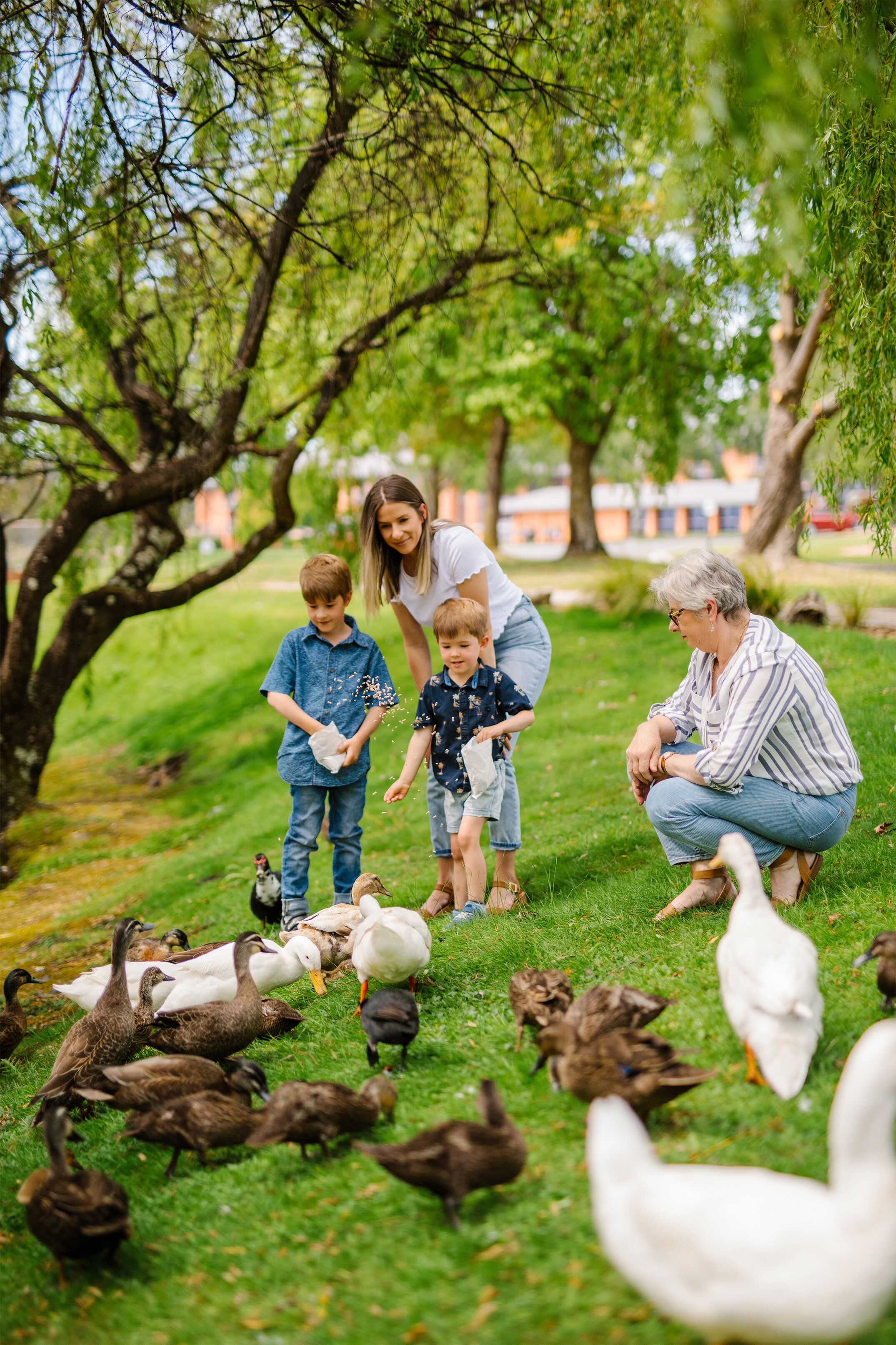 CC new ducks.jpg