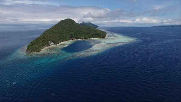 Mansuar_E-W_drone_view_high_alt.png