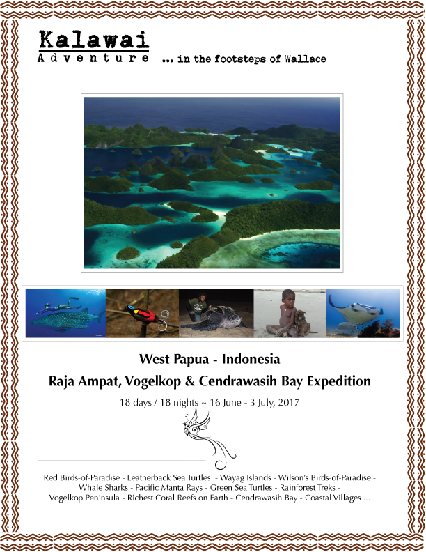 RajaAmpat&CendrawasihBay_PutiRaja_Jun-Jul_CoverPage_19Dec16.png