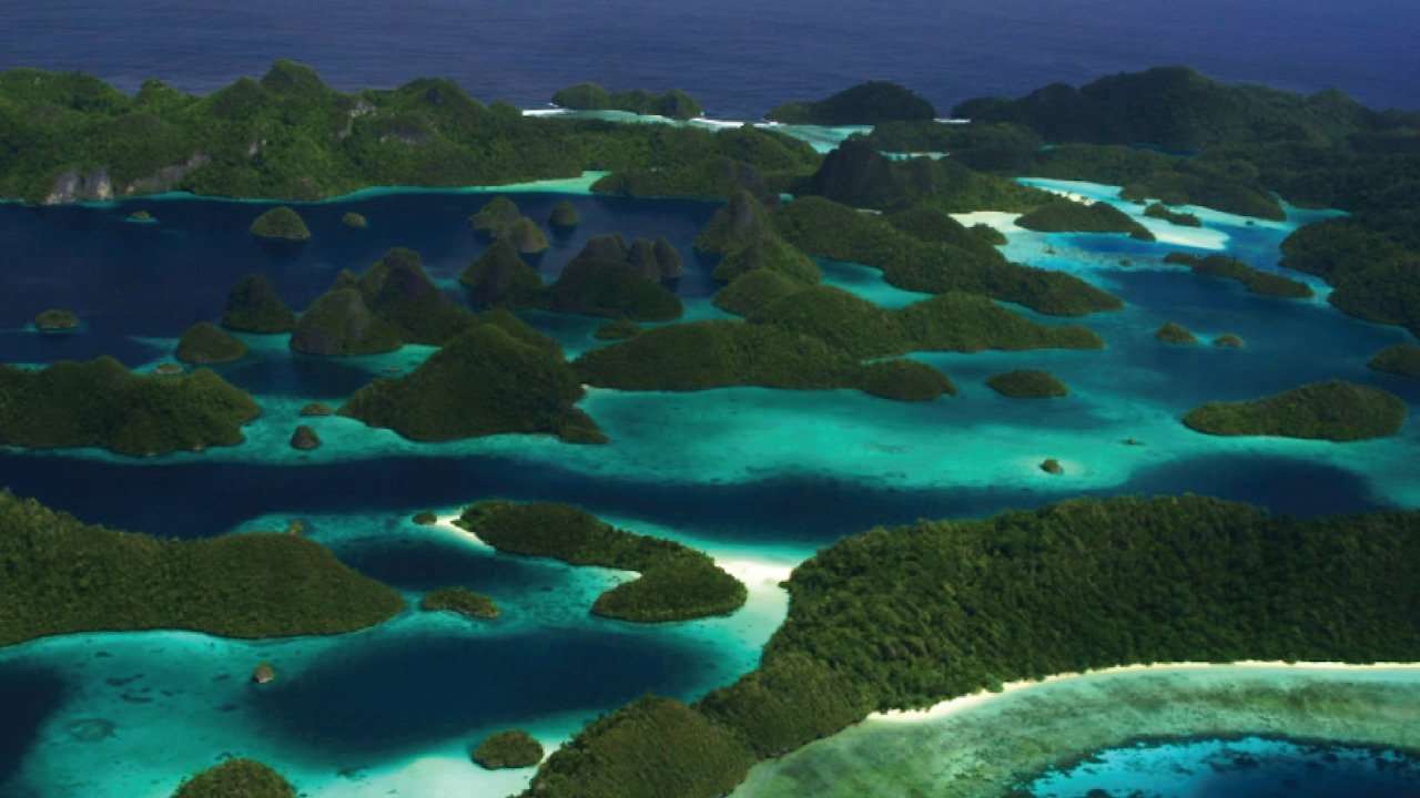 Join us in 2025 on a trip of a lifetime to Raja Ampat and beyond!
Whale sharks, giant leatherback turtles, birds-of-paradise, the richest coral reefs on Earth, WW2 wrecks… this trip has it all!
Our ship-based expeditions are designed for sma